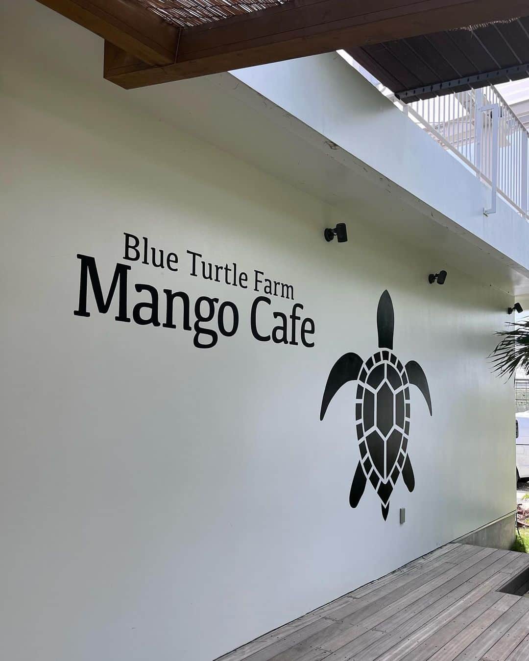 如月さえさんのインスタグラム写真 - (如月さえInstagram)「*  📍Blue Turtle Farm Mango Cafe 吊り橋とブランコがあるんだけど 大人でもはしゃぐ楽しさでした😂 * 久しぶりにアサイーボウルも食べれて最高😋🥣  * #宮古島 #沖縄 #miyakoisland #blueturtlefarm #ブルータートルファーム #アサイーボウル   ( @kisaragi_sae )」9月28日 17時53分 - kisaragi_sae