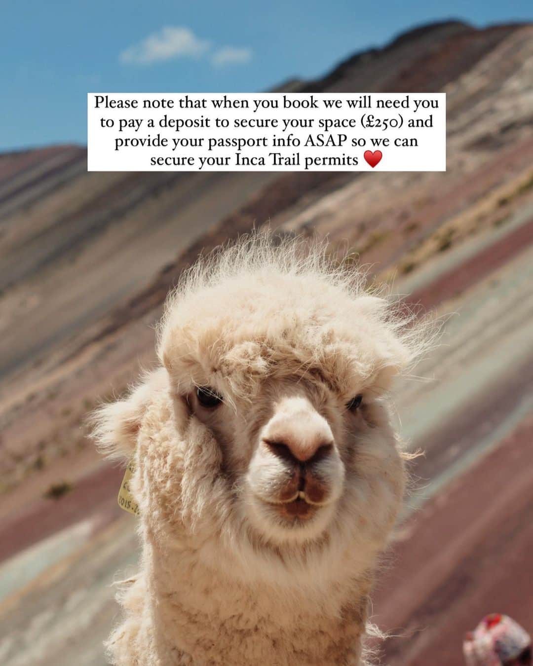 Zanna Van Dijkさんのインスタグラム写真 - (Zanna Van DijkInstagram)「COME HIKE PERU WITH ME 🇵🇪  EDIT: SOLD OUT! In 8 minutes. Fastest sell out tour ever guys. Please email if you wanna be added to the waitlist. Thank you, thank you, thank you! Plenty more adventures to come! 🙏🏼  Spaces are now available for my next 2024 group hiking trip! Here’s all the deets:  ➡️ When? May 19-28th 2024  ➡️ What? An immersive once in a lifetime adventure through the dramatic landscapes of Peru. We will be completing the iconic Inca Trail, visiting multicoloured "rainbow mountains", paddle boarding on remote mirror lakes and connecting with small local communities.   ➡️ What will we see? Highlights include: ✨ Trek the iconic Inca Trail over four days, ending with a sunrise hike to Machu Picchu, the breathtaking lost city. ✨ Visit the beautiful Palcoyo community which is home to the famous multicolour "rainbow mountains".  ✨ Immerse yourself in the bustling cities of Lima and Cusco through private walking tours. ✨ Paddle board on a peaceful mirror lake off the beaten tourist track, right in the heart of the Andes. ✨ Explore the sacred valley, Wilcamayo, and connect with the local Ocotuan community who live there. ✨ Tour the Inca town of Ollantaytambo and experience its photogenic terraces. ✨ And so much more! This is a real bucket list trip!  ➡️ Price & booking? £2300 for 10 days. This includes all activities, internal flights, accomodation and many meals. It does not include international flights. Bookings can be made through my website shop, you can also find more info and the full detailed itinerary there ✅   ➡️ Anything else? Veggie and vegan options will be provided. Most guests come solo so don’t be afraid to travel alone. This is an intermediate trip. You’ll need a good base level of fitness for this adventure as on the trekking days we will be doing a significant amount of hiking. More FAQs are answered on my stories 🥾  I can’t wait to make memories with you! ♥️ (ad - my own retreat) #hikingretreat #grouphiking」9月28日 18時08分 - zannavandijk
