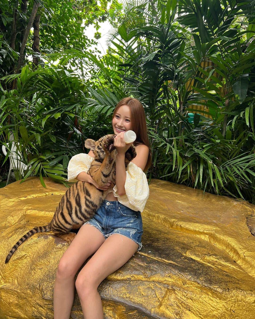 鈴木のりかのインスタグラム：「虎の赤ちゃん👶🏻🤍  #bangkok #safariworld #thailand #tyga #虎 #バンコク #タイ #サファリワールド #タイガ」