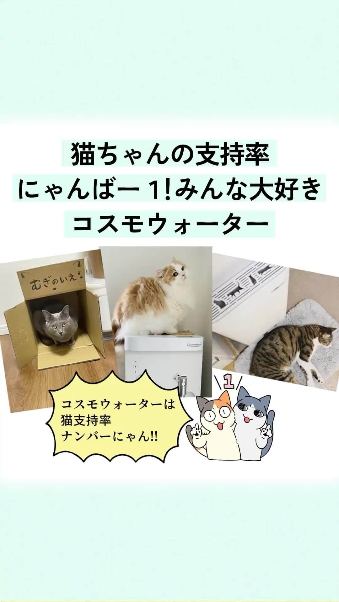 コスモウォーター【公式】のインスタグラム：「ねこ好きさんにはたまらにゃい！ ねこデザインのウォーターサーバー「smartプラス にゃんモデル」 じつは、ねこちゃんからも大人気😹  ウォーターサーバーからの眺めも、スペースもちょうどぴったりにゃ🐱 静かだからお昼寝の邪魔にもならないにゃ🐱 見つけると入らないわけにはいかない!? 魅惑のお水ダンボールも魅力的にゃ😻  みんにゃのお気に入りポイントも教えてにゃ✨  #コスモウォーター #コスモウォーターのある暮らし #ウォーターサーバー #ウォーターサーバーのある生活 #ウォーターサーバー検討中 #天然水 #美味しい水 #QOL向上 #生活の質 #ていねいな暮らし #シンプルな暮らし #漫画 #ねこ #猫 #暮らしのアイデア #猫動画  #漫画が読めるハッシュタグ #便利グッズ #家事楽 #家事ラク #天然水 #家事時短 #毎日家事 #smartプラスnext #にゃんモデル #猫好きな人と繋がりたい #ねこすたぐらむ #ねこ部 #ねこのきもち #猫のいる生活」