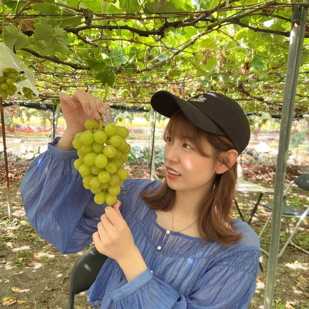 あおいれなのインスタグラム：「シャインマスカット狩りしてきました🍇🌳💚 おっきい粒で甘くて美味しすぎたぁ〜〜🥹🥹 #シャインマスカット #フルーツ狩り #甘党 #幸せ時間」