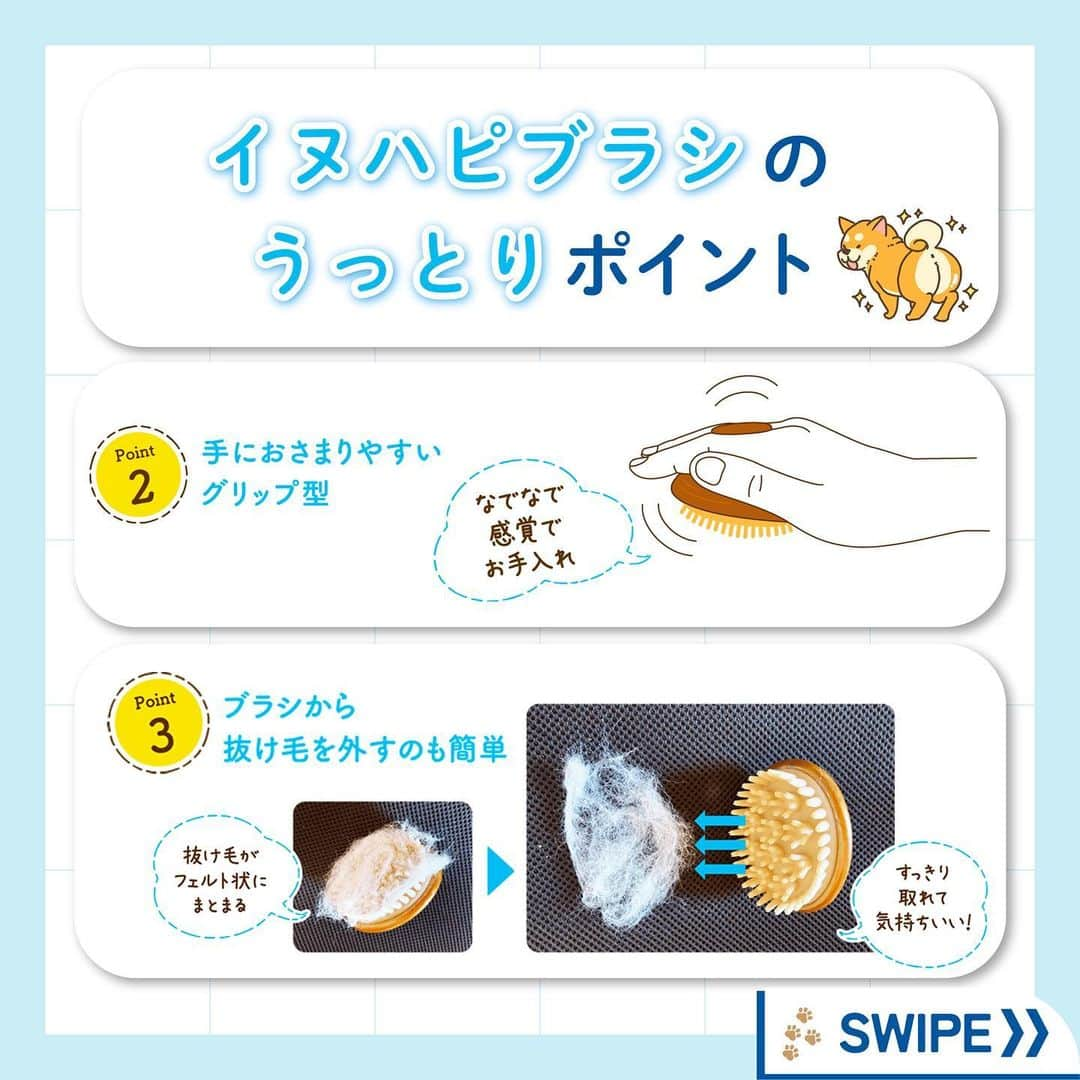 ライオン商事株式会社さんのインスタグラム写真 - (ライオン商事株式会社Instagram)「＼愛犬うっとり🐶🩵仲良しブラッシング習慣🎵／  秋🍂を感じ始める頃、 増え始めるのがわんちゃんの『抜け毛』ですね‼️😱  みなさんのおうちのワンちゃんは、 ブラッシングが好きですか？？🐶 『抜け毛のお悩み』や『好きなブラシ』を コメント欄で教えてください😆💬  毎日のワンちゃんのブラッシングにおすすめなのが、 「ペットキレイ ごきげんケア #イヌハピブラシ 」です！  独自のフラワー型クッション構造で、 やさしくマッサージしながらブラッシングできます。  全部で276個‼️のつぶつぶ突起が 抜け毛をしっかり絡めとってくれるんですよ！  手におさまりやすいグリップ型で、 なでなで感覚でお手入れできちゃいます！👋✨  みなさんのワンちゃんも、 お気に入りブラシを探してみてくださいね♪🧡  #ペットキレイ #抜け毛対策 #換毛期 #いぬとの生活 #いぬ好きさんと繋がりたい #いぬ #抜け毛 #犬 #わんこ #ワンコ #いぬスタグラム #イヌスタグラム #犬スタグラム #わんこのいる生活 #ワンコのいる生活 #イヌのいる生活 #イヌのいる暮らし #lionpet #lionpetdog #ライオンペット #いぬとのくらし #イヌ部 #犬大好き部 #いぬとくらす#柴犬 #柴犬マニア #ダックス #チワワ」9月28日 18時44分 - lion_pet_dog