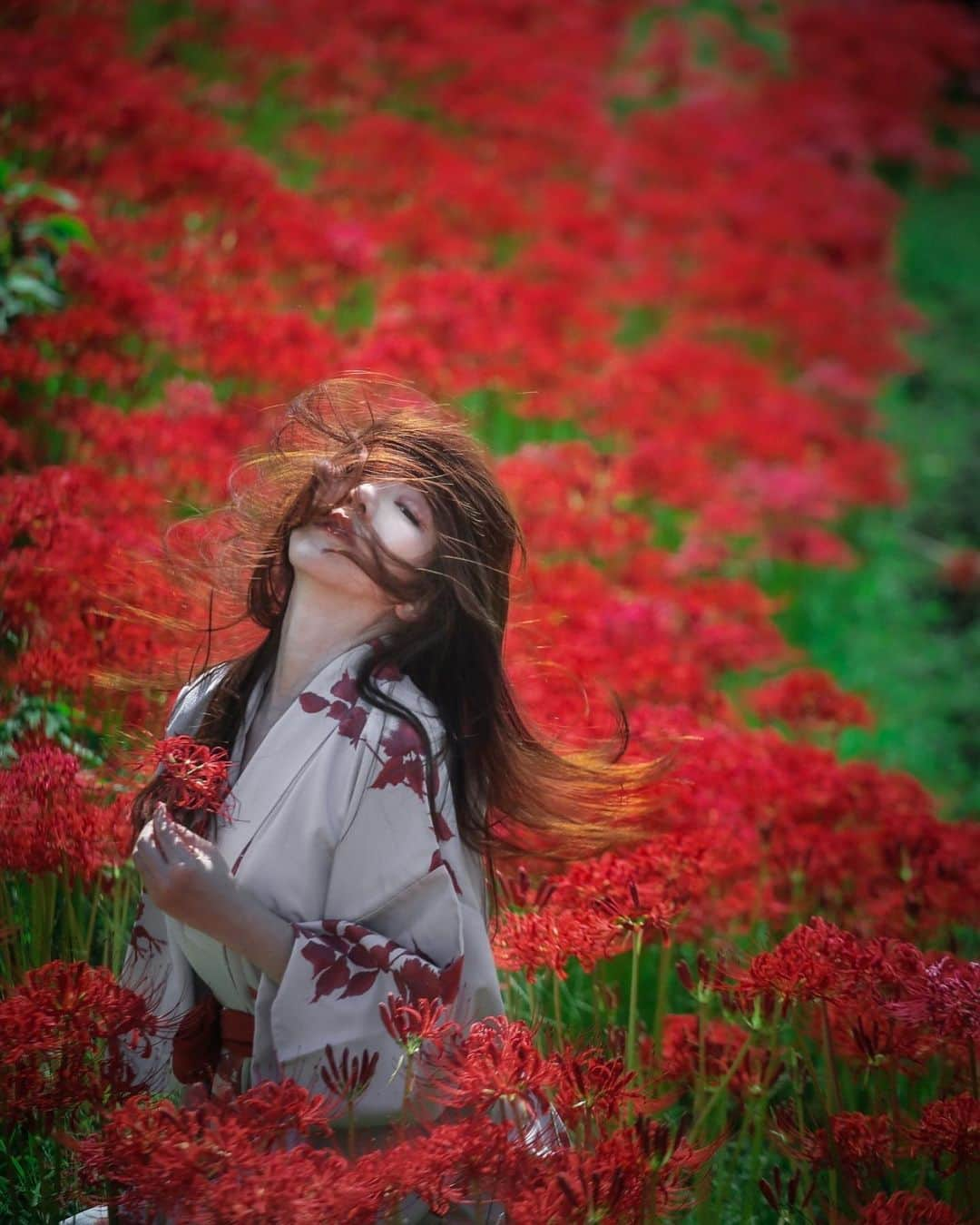 Mikaのインスタグラム：「『紅華翠茎』  ・ ・ ・ photo by @hoshikawayozi   assistant　@chikoinoue   model @mika_portrait  ・ ・ ・ ・ follow me💋  #camellia_photo_art   #美花展 #愛媛ポートレートの会  #誰かの記憶に残る写真 #曼珠沙華 #彼岸花 #彼岸花祭り  #彼岸花の咲く頃  #曼珠沙華まつり  #カメラ好きな人と繋がりたい #ファインダー越しの私の世界 #ポトレファン倶楽部 #被写体モデル #その瞬間は永遠の思い出 #みんなのフォト #ポトレ女子 #撮影依頼募集中 #jp_portrait部 #japanesegirl #asianbeauty #love_bestjapan #love_camera_club #jp_portrait #jp_portrait_collection #loves_united_portrait  #portraitinlove #portrait_mood #exclusive_world_portrait  #instagood #instagramjapan」