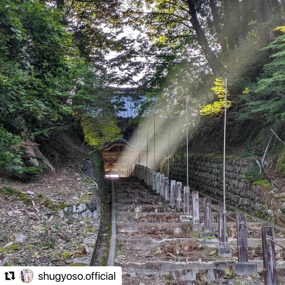 浅利そのみさんのインスタグラム写真 - (浅利そのみInstagram)「今年も前夜祭からＭＣを担当します！！  ぜひ、2023年の締めくくりに、 身延山・七面山で修行をー！！  #Repost @shugyoso.official with @use.repost ・・・ 身延山・七面山　修行走のご修行受付を開始いたしました！！  ランネットからの受付からのみとなっております。  どうぞよろしくお願いいたします！  https://www.shugyoso.com/2023overview  #修行走 #SHUGYOSO #Monk’sRun #菩提梯climbrun #御縁足 #身延山 #七面山 #hungerknockoriginals #hungerknock #トレイルランニング #トレラン #trailrunning #skyrunning」9月28日 18時56分 - asarisonomi