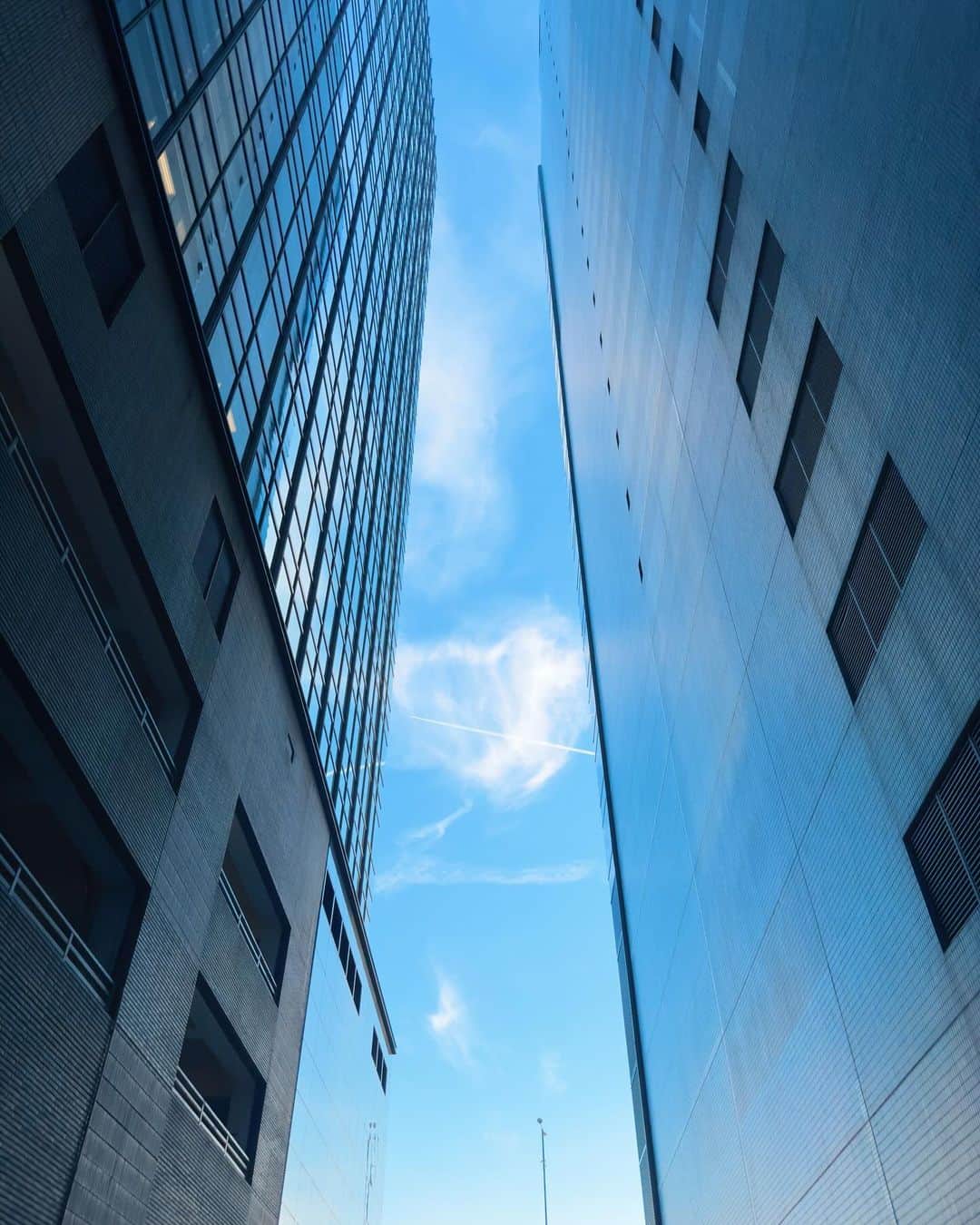 チャウ・パッホウさんのインスタグラム写真 - (チャウ・パッホウInstagram)「💙🤍💘」9月28日 18時57分 - punkhippie