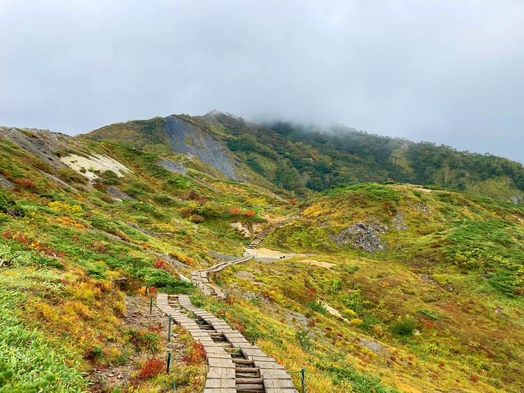 白馬八方尾根スキー場のインスタグラム：「ちょっとずつ色づいてきました🍁 実は最盛期よりこの時期がゆったり見ることができて穴場だったり…？🤩  麓は雨でも八方池付近は雲が抜けていることもありますので、ぜひライブカメラでご確認ください♪  🎥👉https://www.happo-one.jp/gelande/livecamera/  #hakuba #happo #白馬 #八方尾根 #夏  #グリーンシーズン #八方池 #高山植物 #絶景 #白馬三山 #花 #かわいい #八方尾根自然研究路 #カラフル #八方アルペンライン #山 #山の日 #秋 #紅葉」