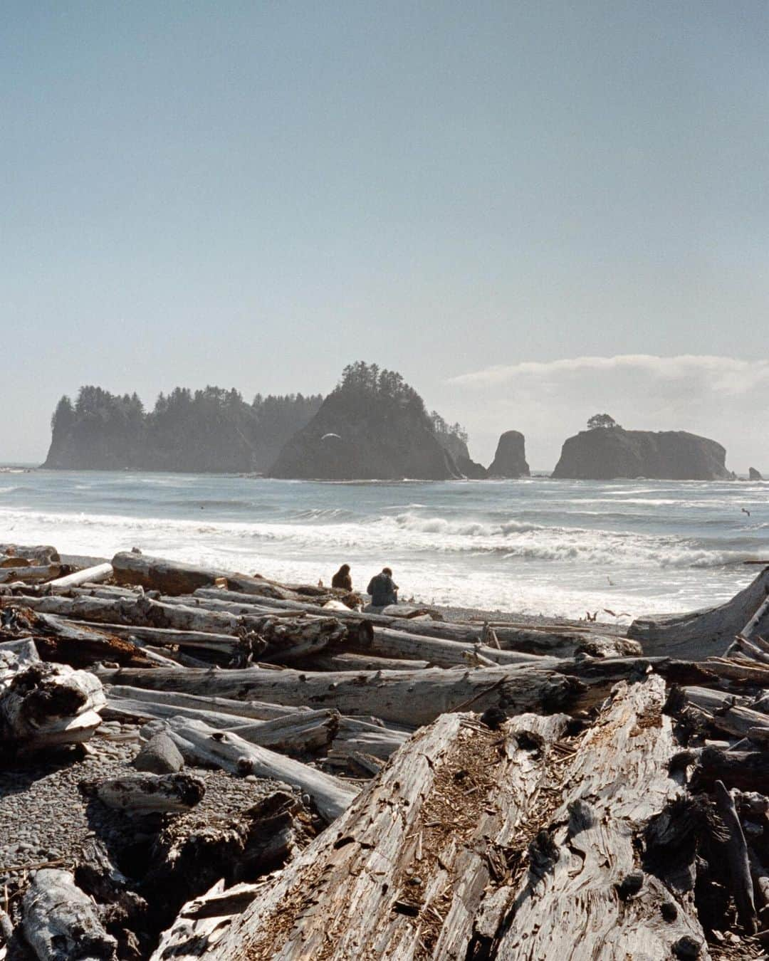 ケルシー・ロビンソンさんのインスタグラム写真 - (ケルシー・ロビンソンInstagram)「Film from our PNW trip 🫶🏼」9月29日 4時23分 - krobin32