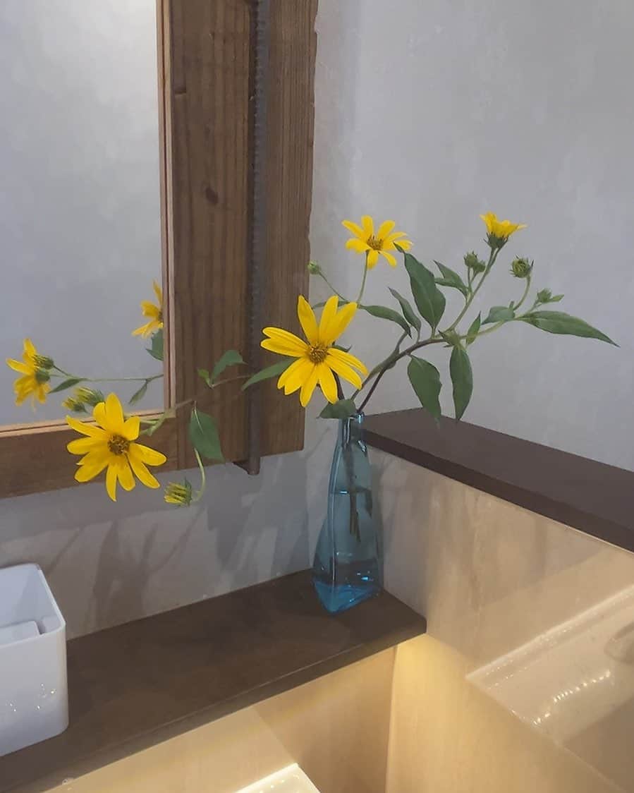 R!Nのインスタグラム：「職場の新しいお花が可愛かったのでシェアしますね。 もうすぐ秋が来ますが、この季節は私が好きな金木犀がやってきます。どこに行くにしても、この香りを感じる、秋だなぁとしみじみ思いますね。 ちなみに金木犀の花言葉は「初恋」 その言葉通り、初恋の人を思い出します…  そんなわけで、ここ最近とっても元気がなかった私ですが少し回復してきました。  みんなのコメントにお返事して、もっと元気をもらいたいです！  私のどの曲が好きなのか、出逢ったきっかけとか、こんなところが好き！とか、いろいろ聞かせてください。 必ずコメント返しに行きます😌」