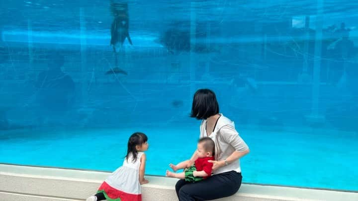 肘井美佳のインスタグラム：「My annual favorite: dressing my daughter and son in matching watermelon-themed outfits.  無事にジージへの誕生日プレゼント、 「孫の歌謡集(CD)」 を作成できました！ 前回の松ぼっくりに続きここにまた１曲。  聴いてください、  「北風小僧の寒太郎」  さて、過去の写真をアルバムしているので色々と蔵出しをば。 歌とは打って変わって夏の写真。  毎年夏になるとスイカの服を着てもらうが私の楽しみです。 これは去年の写真で、今年のスイカはいい写真の収穫がない… まだ半袖だし撮れるかな？レッツトライ！  #matchingoutfits #watermelon #daughterandson #daughter’ssong “wintersong #姉弟リンクコーデ #萌え #もうオネーさんは親の望む服を着てくれない #これが成長か」