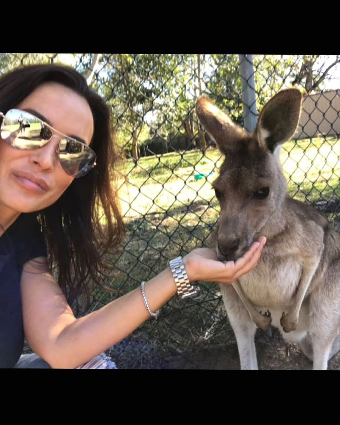 リサ・アンさんのインスタグラム写真 - (リサ・アンInstagram)「#throwbackthursday Australia   Time to hang with the koala’s 🐨 feed the kangaroos and take selfies with them and YOU! I’ll see you November 10,11,12 @sexpoaustralia Melbourne!   #tbt #koala #kangaroo #australia #sexpo #melbourne #thereallisaann」9月28日 22時36分 - thereallisaann