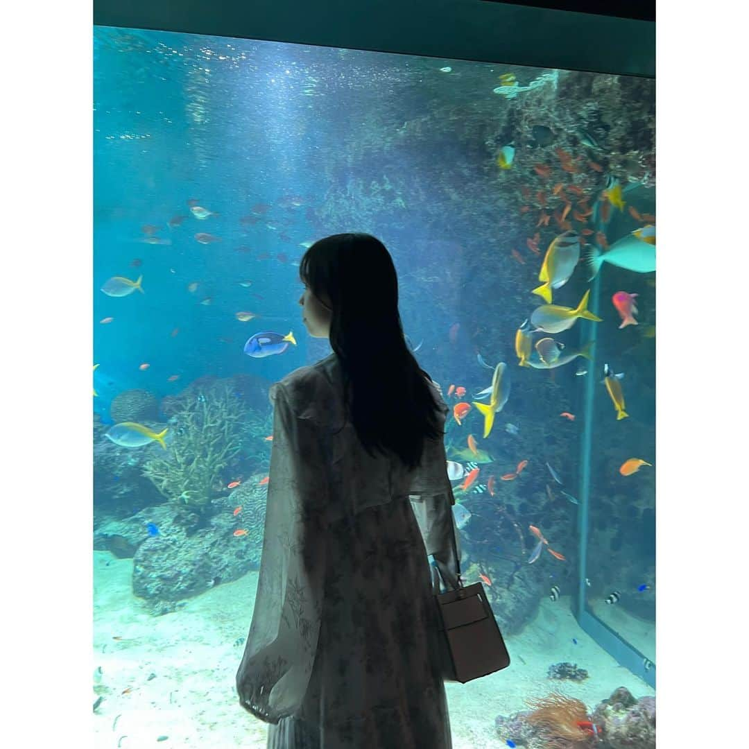 栗山梨奈のインスタグラム：「🐟🐠🐡  #下関#海響館#しものせき#山口県」