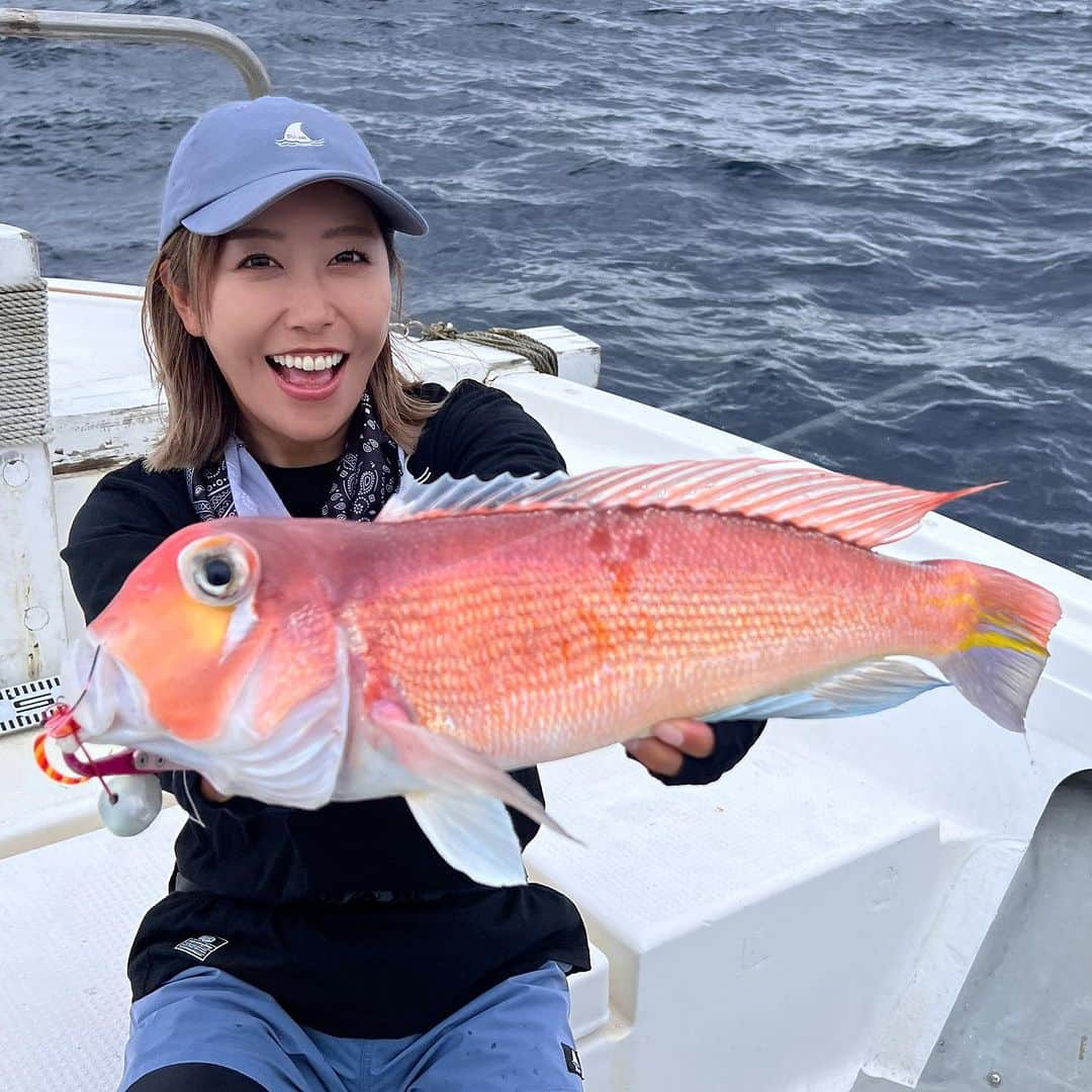 蒼井さやのインスタグラム：「今日は日帰り島根で、 お馴染み、大久保さん @okubokozo と、モンパチのさっしーさん @satoshitakazato とアマラバ(甘鯛タイラバ)に行ってきました😊 久しぶりの島根県での釣り、小雨が降ったり曇天だったりで天気にはあまり恵まれなかったけど、甘鯛やアヲハタ、レンコダイなど魚には恵まれました😊✨️ そしてなんと！！！ 私この度、甘鯛のつ抜け10匹を達成することができました！！ヤッター！！ ラスト60mと30mの攻防戦のハラハラドキドキは何度経験しても飽きないし、何度でも体感したくなる🤭 タイラバは私の大好きな釣りのひとつです。 ・ ・ ・ 今回は、鹿島マリーナからADARNⅡ(アダーン2)の植田船長にお世話になりました✨️ 前回もシーバスをたくさん釣らせてくれた船長さんです。 今回もありがとうございました！！ 大久保さんも、さっしーさんも甘鯛や真鯛、アヲハタをいっぱい釣られて今日も笑いの絶えない楽しい釣行になりました😁✨️ また大久保さんのYouTubeにも出てくるので観てくださいね😁✨️あー楽しかった！！ ・ ・ ・ 【ADARNⅡ】光月  島根県松江市鹿島町 080-6322-2987  https://adarn.amebaownd.com ・ ・ ・ 【SAYA's TACKLE】 ●タイラバ ロッド▶︎DAIWA 紅牙TYPE-N EX 611MLB THRILL GAME リール▶︎SHIMANO Barchetta 151DHHG ライン▶︎VARIVAS AVANI10×10 MAXPOWER PE0.8号 リーダー▶︎VARIVAS フロロカーボンショックリーダー 16lb タイラバヘッド▶︎レッドスナイパー 160g/120g ネクタイ▶︎ハヤブサ フリースライド カスタムシリコンネクタイ バルキーカーリーダブル フック▶︎船長オリジナル ・ ・ ・  #甘鯛  #赤甘鯛  #アマラバ  #タイラバ  #adarn2  #アダーン2  #釣り  #釣りガール  #Fishing  #fishinglife  #Fishinggirl  #島根県」