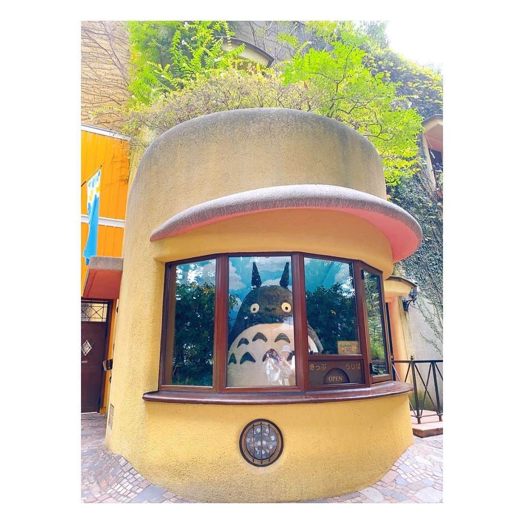 滝口成美のインスタグラム：「GHIBLI LOVE🌏🫶🌳  #ジブリ美術館#三鷹#ghibli  #星をかった日#スタジオジブリ」