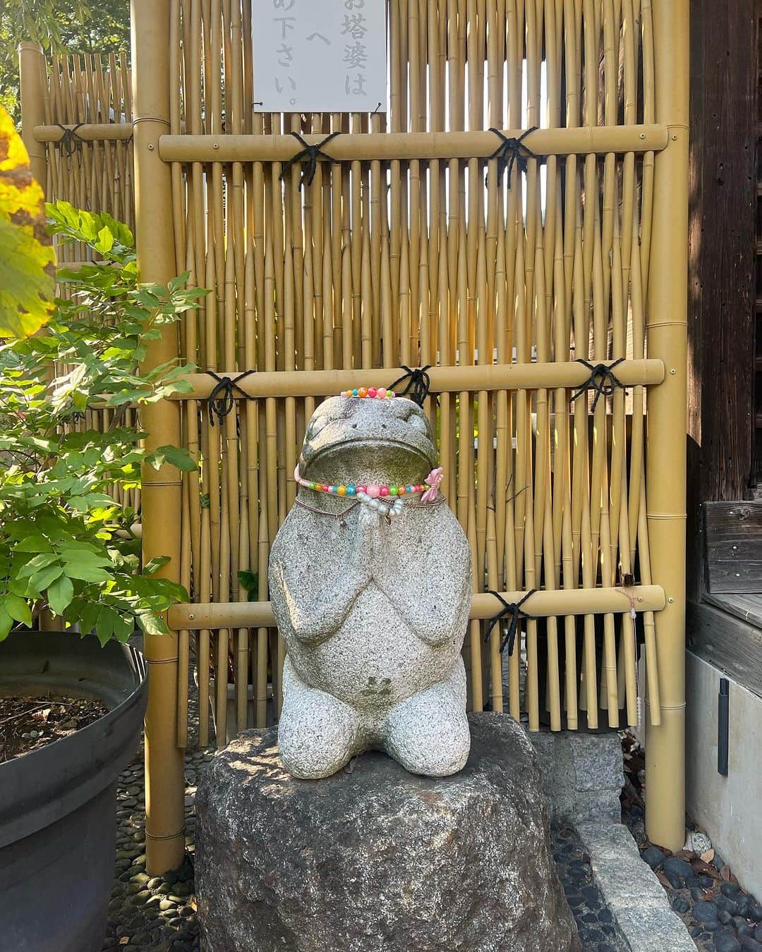 Kensho Onukiさんのインスタグラム写真 - (Kensho OnukiInstagram)「両親の墓参りに。昼下がりの陽射しが真夏のようで汗だくでしたが墓地内わたる風は涼やか。カエルさんは動物供養です。」9月28日 23時40分 - kensho_onuki
