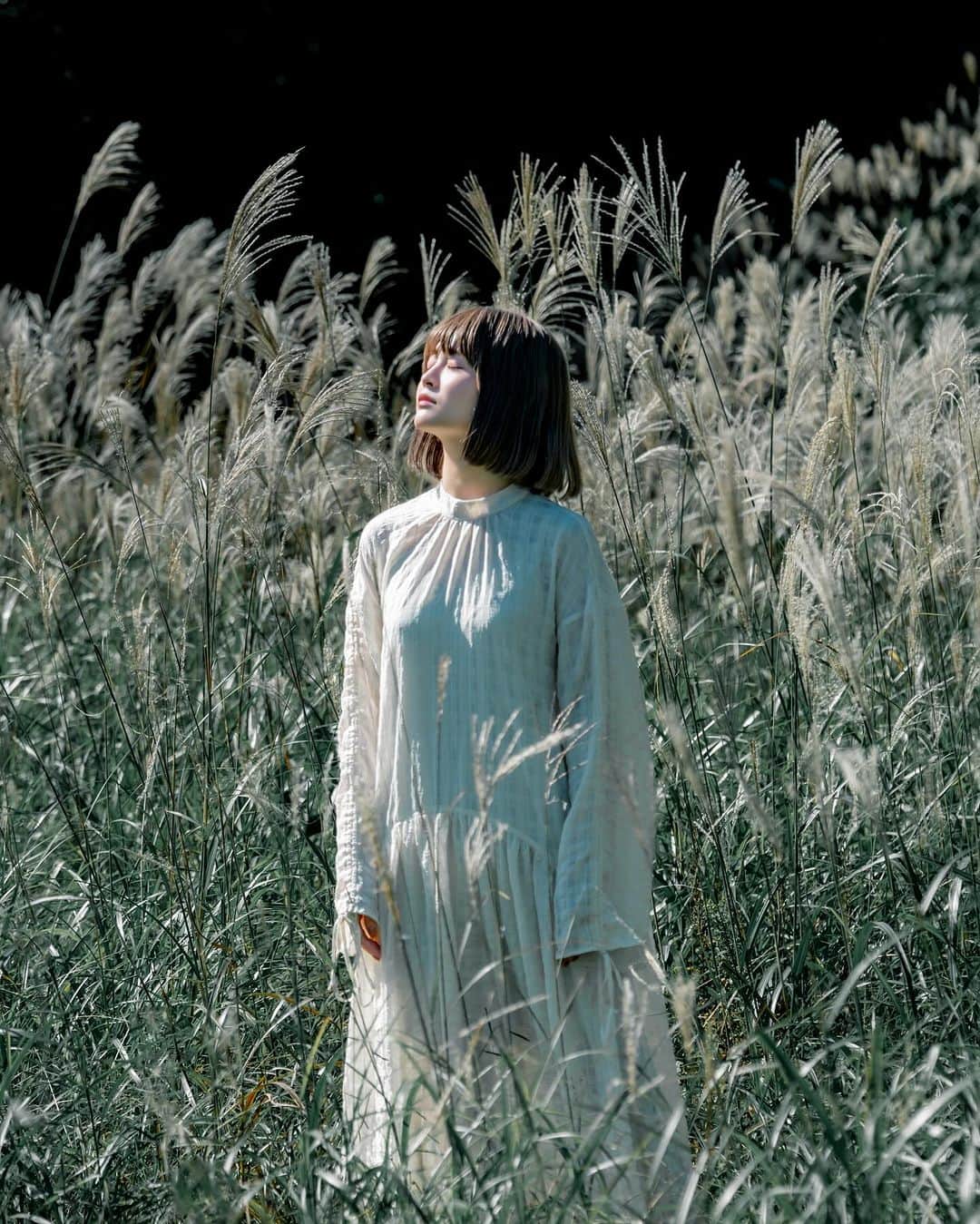 shabonさんのインスタグラム写真 - (shabonInstagram)「* . . . . . もうススキの季節🌾 早い…😳 . model : @reis_1024 . . FUJIFILM GFX50S II /  GF45mm F2.8 R WR . FUJIFILM X-T5 /  XF50-140mm F2.8 R LM OIS WR . . . . . . *」9月28日 23時46分 - shabon