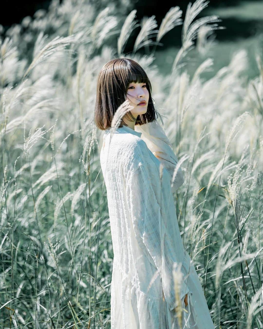 shabonさんのインスタグラム写真 - (shabonInstagram)「* . . . . . もうススキの季節🌾 早い…😳 . model : @reis_1024 . . FUJIFILM GFX50S II /  GF45mm F2.8 R WR . FUJIFILM X-T5 /  XF50-140mm F2.8 R LM OIS WR . . . . . . *」9月28日 23時46分 - shabon