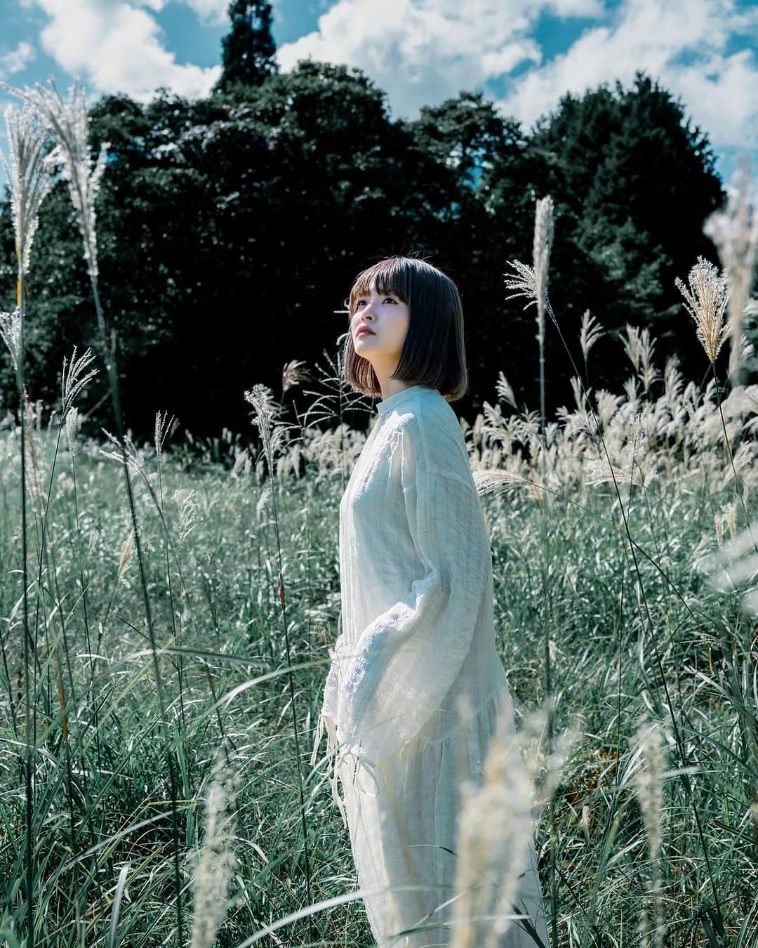 shabonのインスタグラム：「* . . . . . もうススキの季節🌾 早い…😳 . model : @reis_1024 . . FUJIFILM GFX50S II /  GF45mm F2.8 R WR . FUJIFILM X-T5 /  XF50-140mm F2.8 R LM OIS WR . . . . . . *」