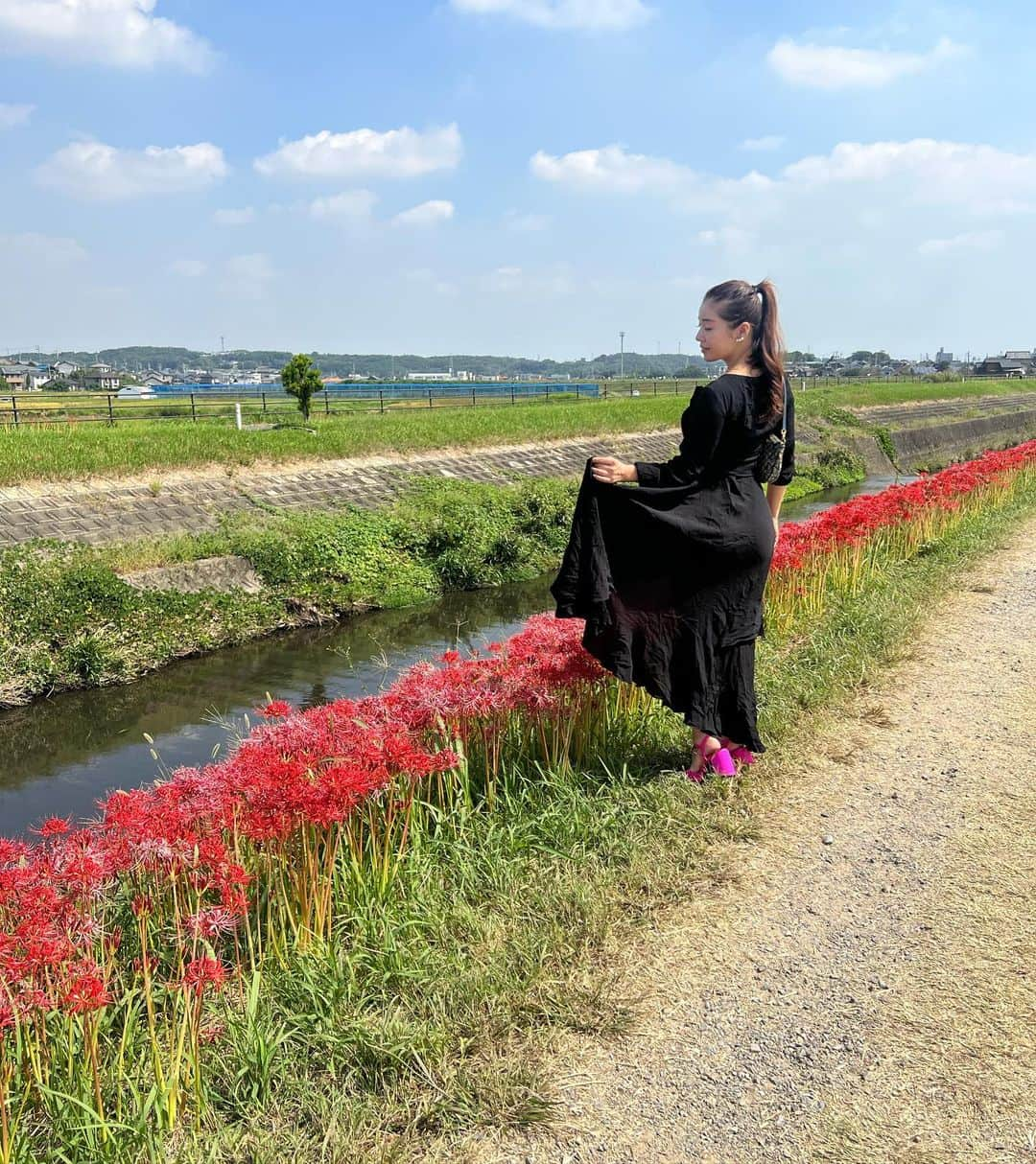 中村かなさんのインスタグラム写真 - (中村かなInstagram)「🥀  #彼岸花 #お彼岸 #秋 #秋の花 #秋の風景 #秋の空 #半田市 #半田 #愛知観光 #愛知県 #愛知 #愛知旅行 #矢勝川 #矢勝川堤の彼岸花 #新美南吉 #新見南吉記念館 #ごんぎつね」9月28日 23時49分 - k777pime