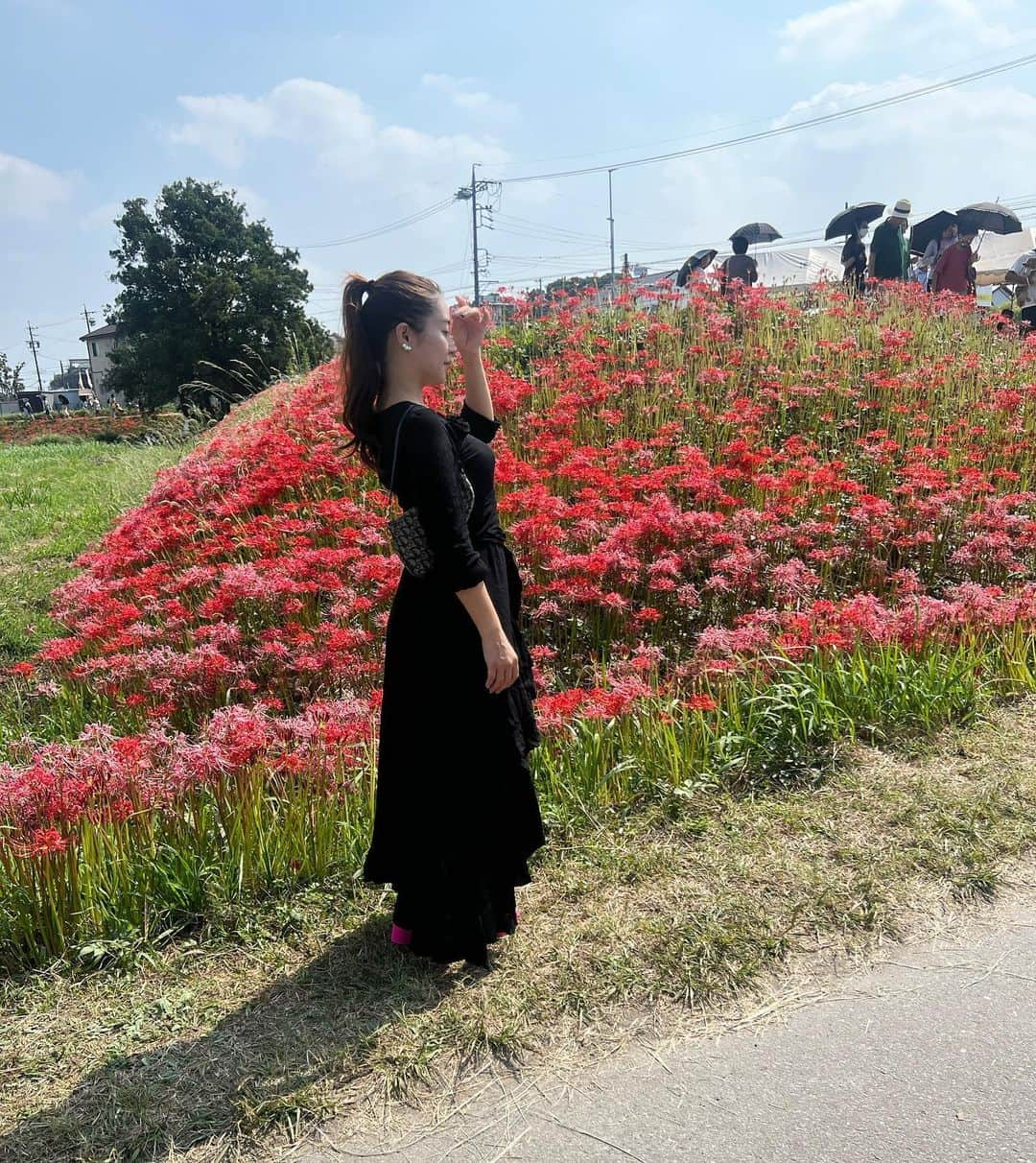 中村かなのインスタグラム：「🥀  #彼岸花 #お彼岸 #秋 #秋の花 #秋の風景 #秋の空 #半田市 #半田 #愛知観光 #愛知県 #愛知 #愛知旅行 #矢勝川 #矢勝川堤の彼岸花 #新美南吉 #新見南吉記念館 #ごんぎつね」