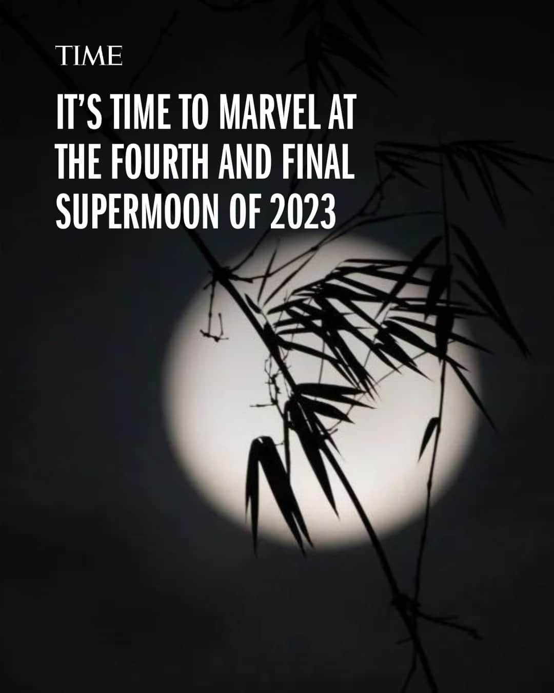 TIME Magazineのインスタグラム：「This year has been a good one for supermoons, with three occurring already—on July 3, Aug. 1, Aug. 30—and a fourth one teed up to appear in the eastern sky just after sunset on Sept. 28.   September’s supermoon will reach its brightest illumination at 5:58 a.m. ET on Sept. 29, and set shortly after.  Learn more about supermoons, and why there have been so many lately, at the link in bio.  Photograph by Getty Images」
