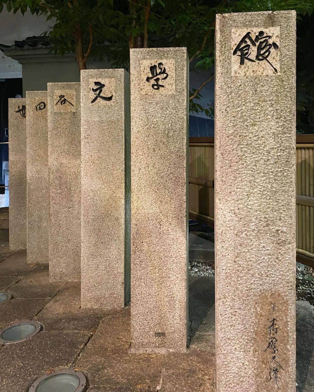 江口寿史のインスタグラム：「夜の世田谷文学館の姿を初めて見た。 あさってからこの場所は(オヤジの)熱気でむせ返る。」