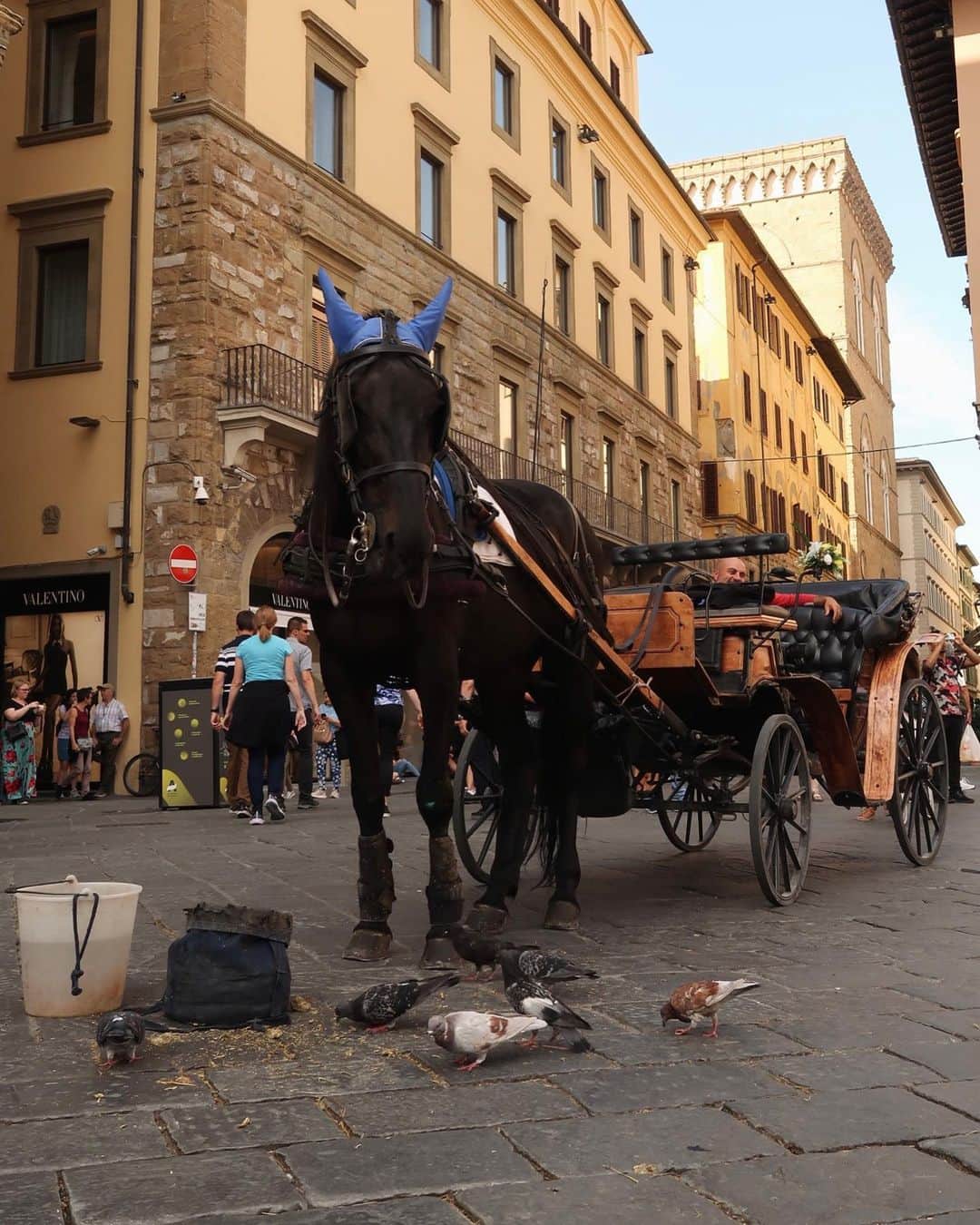 ラウラ・デ・ウィットさんのインスタグラム写真 - (ラウラ・デ・ウィットInstagram)「Firenze 🩵」9月29日 1時14分 - lauradewitte