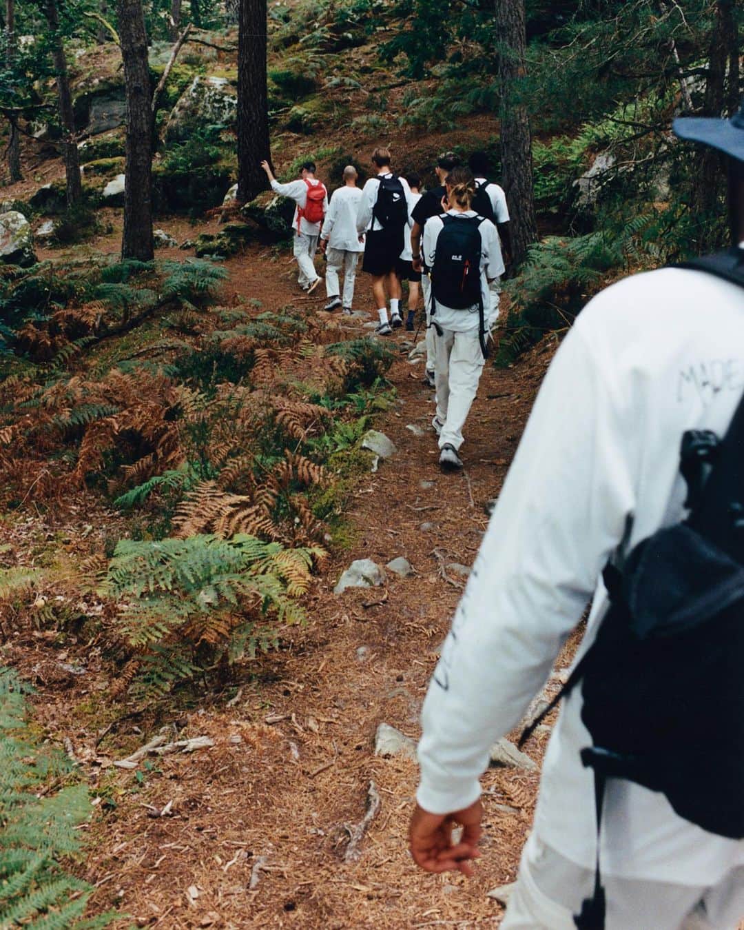 Nike Sportswearさんのインスタグラム写真 - (Nike SportswearInstagram)「SNKRS Hiking Club : good vibes only 🪨🌲  A few weeks ago, the ACG team went exploring in the breathtaking Fontainebleau forest with several SNKRS members. The adventure-packed day included a hike with coach Thomas + a bouldering workshop with @carosinno, professional climber and founder of the @girlsinbleau collective.  Keep an eye on the SNKRS app to join us on the next one!  📸 : @jrmykonko  Good vibes only à la dernière rando du SNKRS Hiking Club 🪨🌲  Il y a deux semaines, la team ACG est partie en exploration du côté de Fontainebleau avec plusieurs membres SNKRS. Au programme, rando avec coach Thomas + un workshop bouldering en compagnie de @carosinno, grimpeuse pro et fondatrice du collectif @girlsinbleau.  Garde un œil sur l’app SNKRS pour participer à la prochaine !」9月29日 1時25分 - nikesportswear
