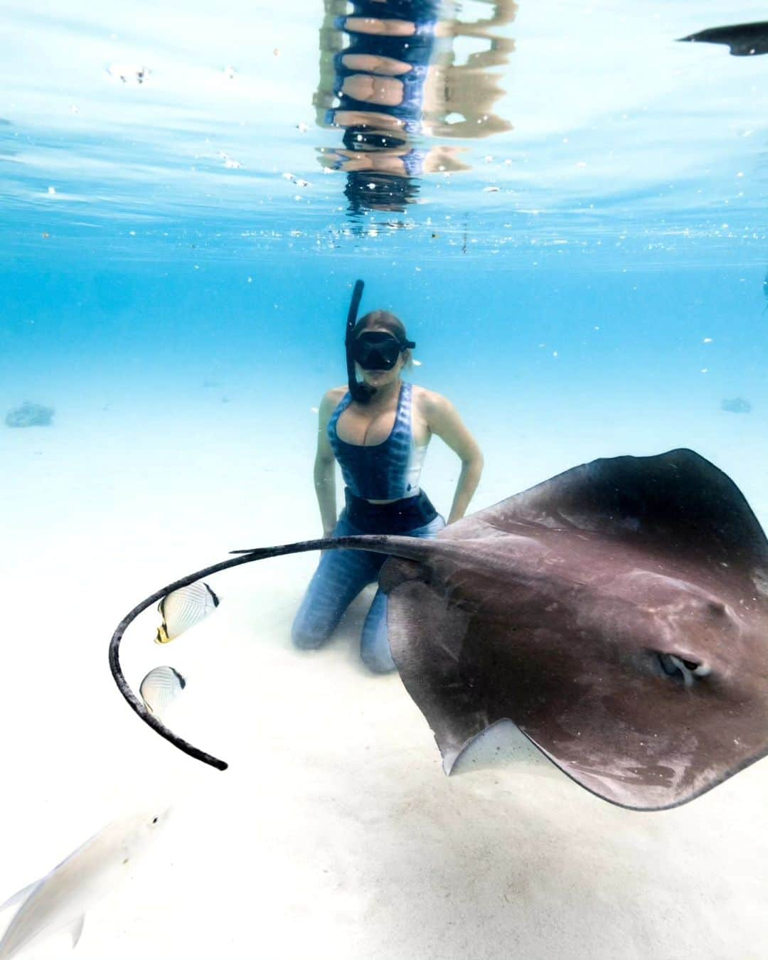 Dana Hammさんのインスタグラム写真 - (Dana HammInstagram)「The ocean through my eyes 😍🐠🐋🦈🐚🦑🐙 Let's go! Insert song: You'll be in my heart by Phil Collins 💞  mermaid-life  Underwater photos: @lgc_photographer assisted by @ryan.kaili #frenchpolynesia #moorea #borabora #rangiroa」9月29日 1時35分 - danahammofficial