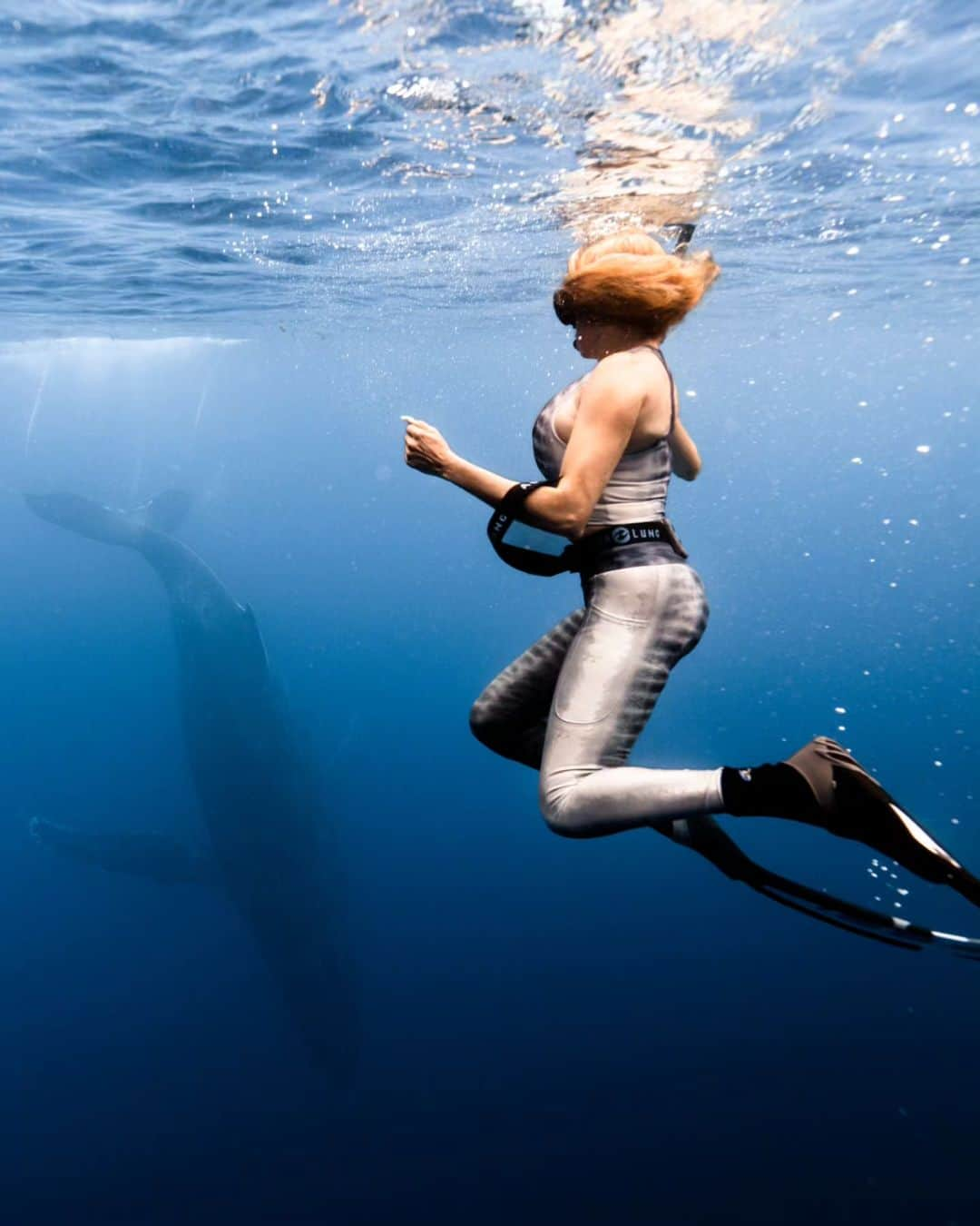 Dana Hammさんのインスタグラム写真 - (Dana HammInstagram)「The ocean through my eyes 😍🐠🐋🦈🐚🦑🐙 Let's go! Insert song: You'll be in my heart by Phil Collins 💞  mermaid-life  Underwater photos: @lgc_photographer assisted by @ryan.kaili #frenchpolynesia #moorea #borabora #rangiroa」9月29日 1時35分 - danahammofficial