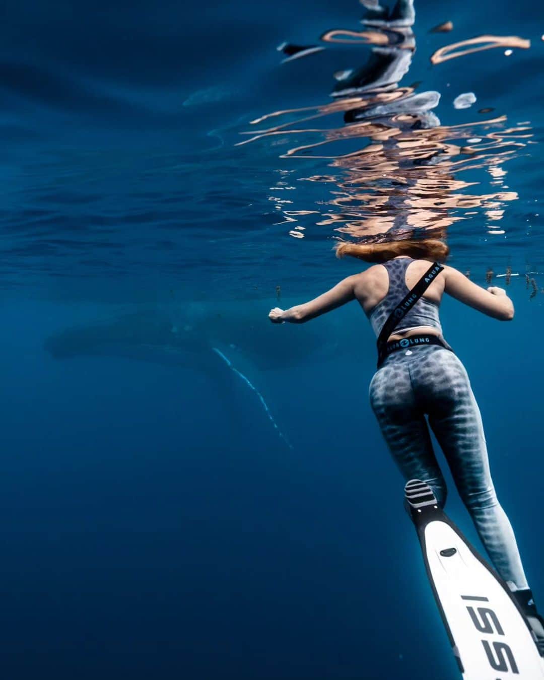 Dana Hammさんのインスタグラム写真 - (Dana HammInstagram)「The ocean through my eyes 😍🐠🐋🦈🐚🦑🐙 Let's go! Insert song: You'll be in my heart by Phil Collins 💞  mermaid-life  Underwater photos: @lgc_photographer assisted by @ryan.kaili #frenchpolynesia #moorea #borabora #rangiroa」9月29日 1時35分 - danahammofficial
