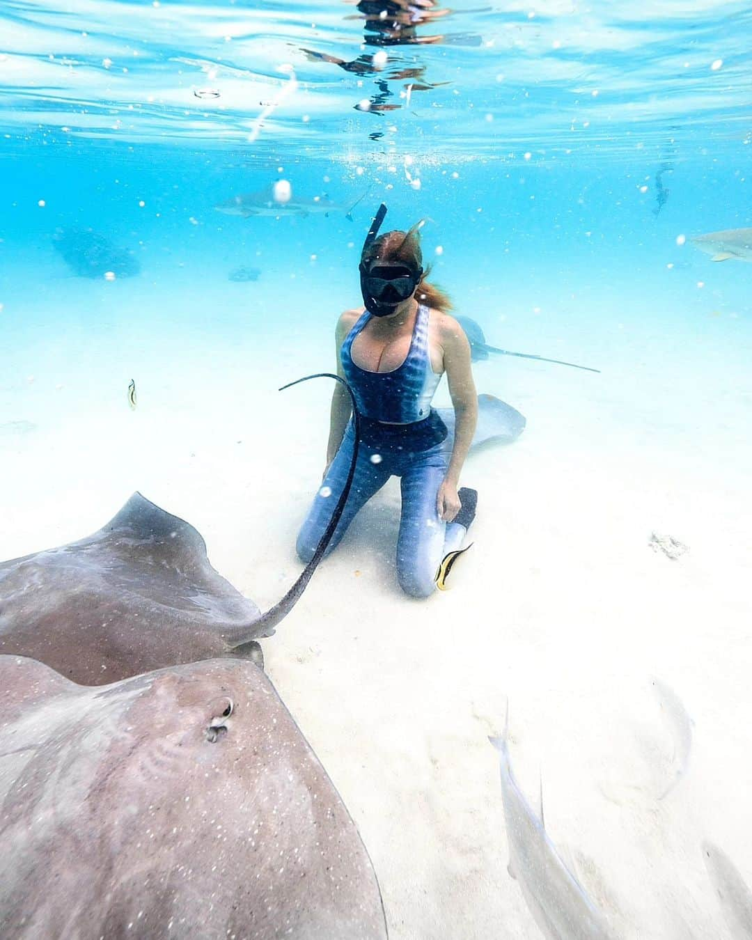 Dana Hammさんのインスタグラム写真 - (Dana HammInstagram)「The ocean through my eyes 😍🐠🐋🦈🐚🦑🐙 Let's go! Insert song: You'll be in my heart by Phil Collins 💞  mermaid-life  Underwater photos: @lgc_photographer assisted by @ryan.kaili #frenchpolynesia #moorea #borabora #rangiroa」9月29日 1時35分 - danahammofficial