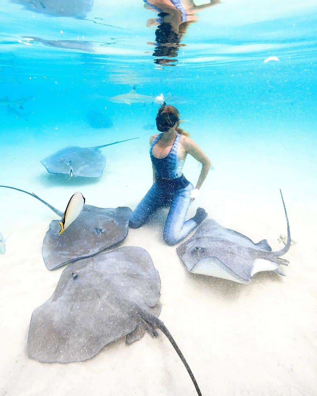 Dana Hammさんのインスタグラム写真 - (Dana HammInstagram)「The ocean through my eyes 😍🐠🐋🦈🐚🦑🐙 Let's go! Insert song: You'll be in my heart by Phil Collins 💞  mermaid-life  Underwater photos: @lgc_photographer assisted by @ryan.kaili #frenchpolynesia #moorea #borabora #rangiroa」9月29日 1時35分 - danahammofficial