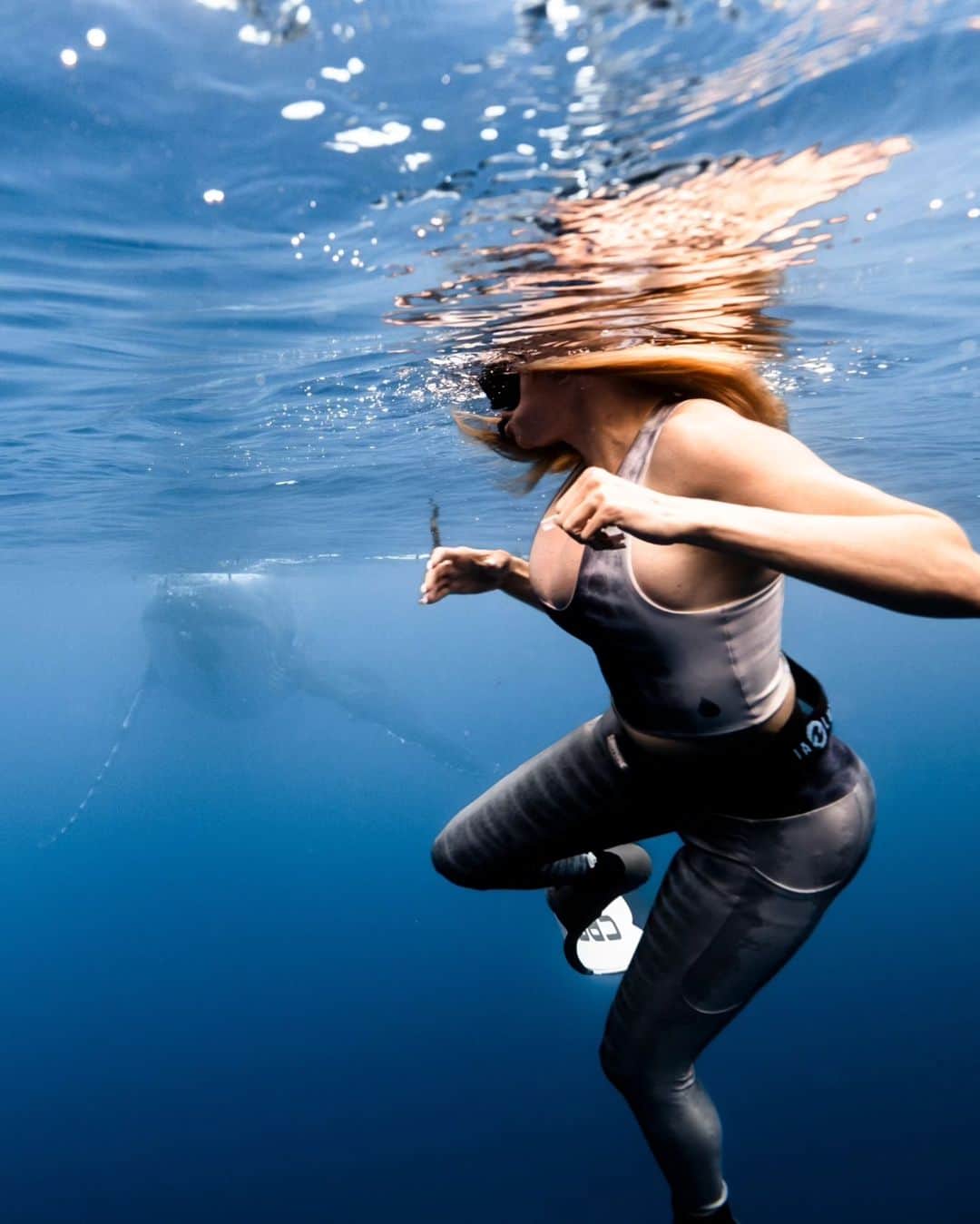 Dana Hammさんのインスタグラム写真 - (Dana HammInstagram)「The ocean through my eyes 😍🐠🐋🦈🐚🦑🐙 Let's go! Insert song: You'll be in my heart by Phil Collins 💞  mermaid-life  Underwater photos: @lgc_photographer assisted by @ryan.kaili #frenchpolynesia #moorea #borabora #rangiroa」9月29日 1時35分 - danahammofficial