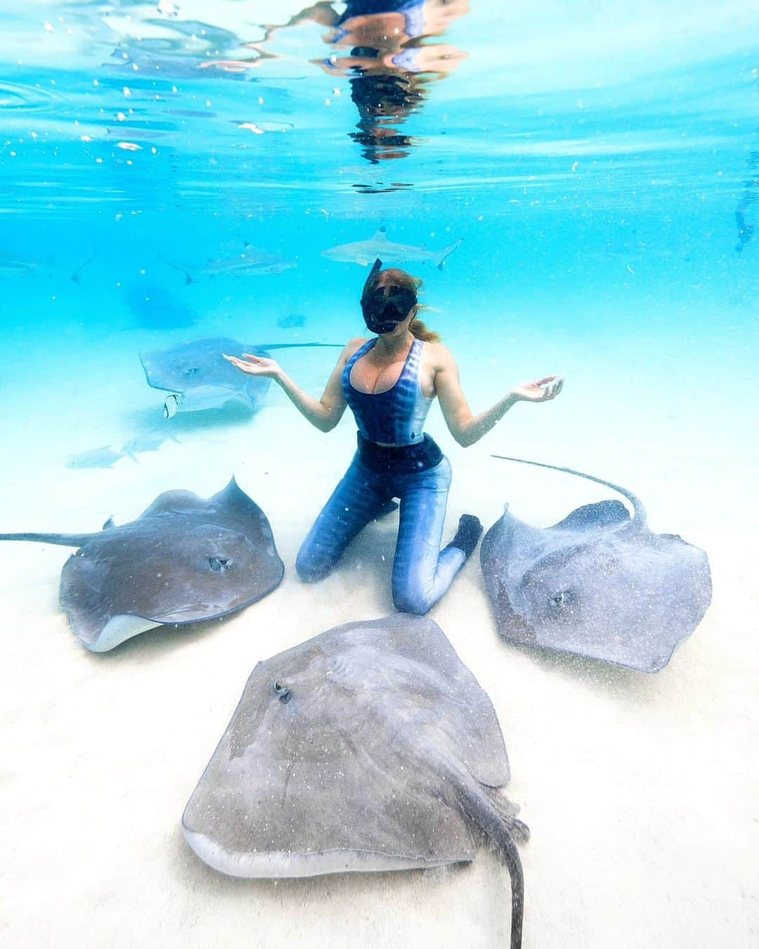 Dana Hammのインスタグラム：「The ocean through my eyes 😍🐠🐋🦈🐚🦑🐙 Let's go! Insert song: You'll be in my heart by Phil Collins 💞  mermaid-life  Underwater photos: @lgc_photographer assisted by @ryan.kaili #frenchpolynesia #moorea #borabora #rangiroa」