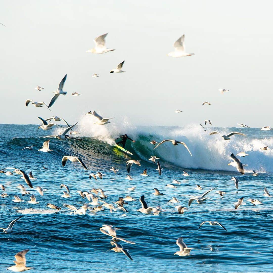 クリス・バーカードのインスタグラム：「I was spending my weekends in Northern California often sleeping in the back of my small Tacoma pickup. I was usually tucked away in some shady pullout trying to get a few hours of sleep after driving all night The morning routing was always the same…  check the surf at sunrise. It was rare to find people willing to be up at dawn to surf in cold water… that’s where my friendship with @joshmulcoy really started. Early mornings up the coast looking for good light and offshore wind.  It was often these surprise moments that felt the most special. Where the camera would catch focus amidst some chaotic moment.. creating something unique. A rare one for sure.」
