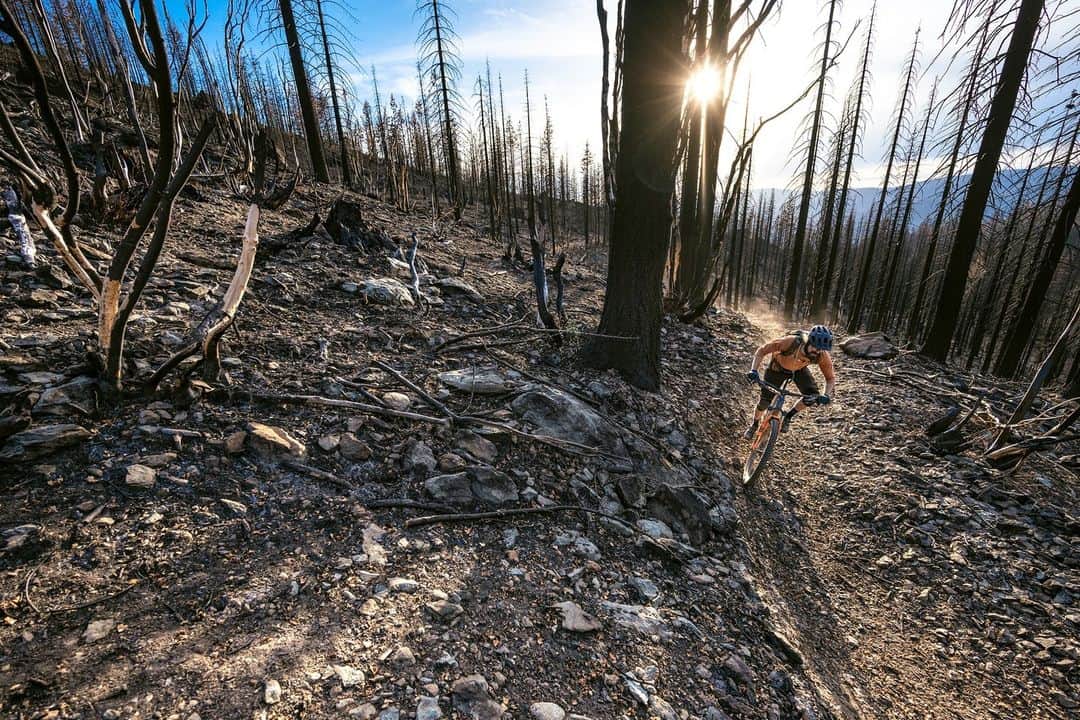 patagoniaさんのインスタグラム写真 - (patagoniaInstagram)「In the wake of a devastating wildfire, the communities of California’s Lost Sierra region look to trails for hope, healing and a dose of dirt magic.  “Rebuilding trails can be a source of pride when you’ve lost everything—something to rally around, to invest energy into, to give people hope for a future in the mountains they call home.” —Greg Williams (@yubaman)  Read "Remember to Breathe" through the link in bio.   Photos: Ken Etzel (@ken_etzel)」9月29日 2時16分 - patagonia