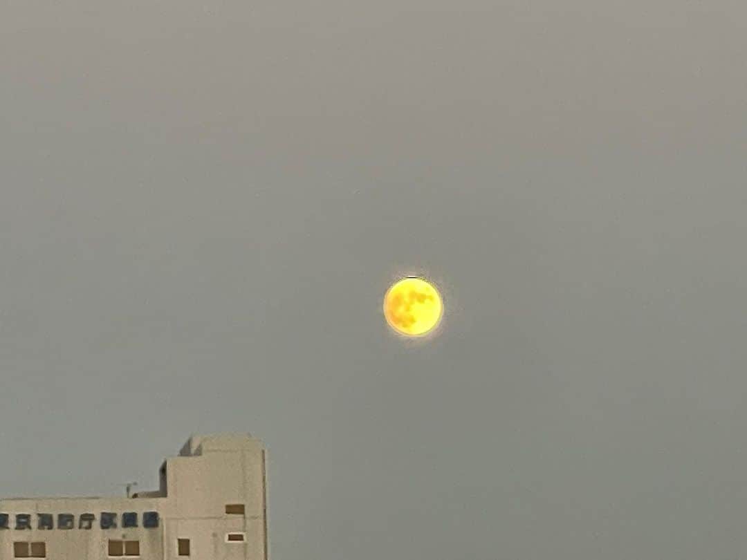 橋本志穂さんのインスタグラム写真 - (橋本志穂Instagram)「夕方、夫を羽田に送って行く時 月がドーンと目の前に。 綺麗❣️ 明日が中秋の名月だって。  でも、今日も名月だったよー  空港に着いて月をバックに撮影してもらったけど、 月がどれかわからん💦って感じに 街灯がたくさん🤣  #月」9月29日 2時29分 - shihohashimoto3