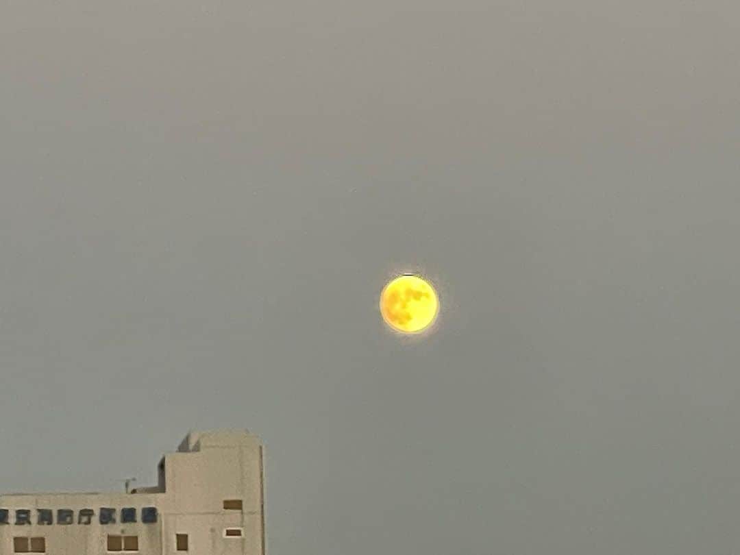橋本志穂のインスタグラム：「夕方、夫を羽田に送って行く時 月がドーンと目の前に。 綺麗❣️ 明日が中秋の名月だって。  でも、今日も名月だったよー  空港に着いて月をバックに撮影してもらったけど、 月がどれかわからん💦って感じに 街灯がたくさん🤣  #月」
