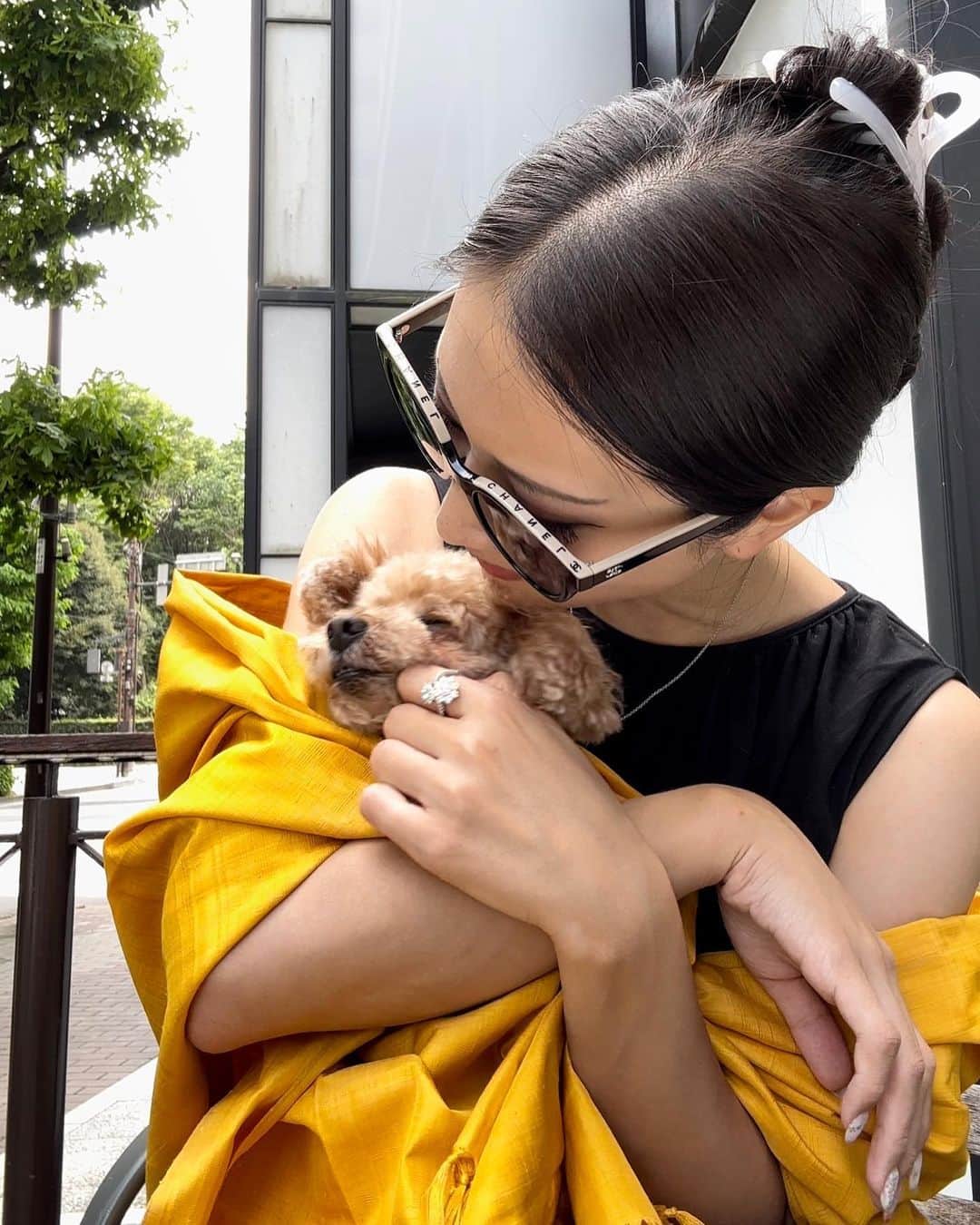 落合リザのインスタグラム：「イッヌもメロメロな黄金色の繭から糸をひいて作られる無染色が最大の魅力なゴールデンシルクストールだおっ😌🐾  @naokobonbon  @senseofwonder_kyoto」