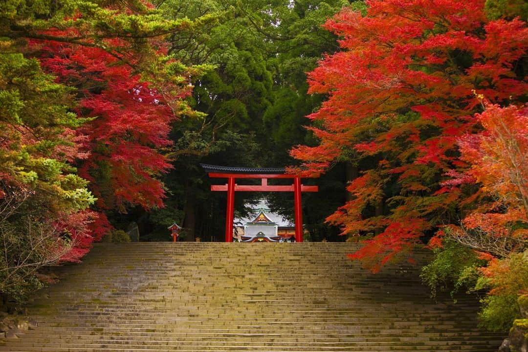 日本の国立公園さんのインスタグラム写真 - (日本の国立公園Instagram)「Witness a fiery ritual at Kirishima Jingu Shrine ⛩️🔥  At Kirishima Jingu Shrine, one of the best autumn foliage spots in Kirishima-Kinkowan National Park, the summer green gradually changes to orange, yellow, and red. 💚❤️  The approach leading from the red torii to the precincts is lined with bright autumn leaves, and the best time to see the autumn leaves continues until the end of November. 🍁🍂  Although Kirishima Jingu Shrine is now located at the foot of the mountains, the original, built in the sixth century, was located much higher up at Setoo, a dip between the summit of Mt. Takachihonomine, where Ninigi no Mikoto is said to have descended from the heavenly world to the earthly world and Hinotokomine (the ancient name for the Ohachi crater). ⛰🌎  Every year on November 10th, the ''Tenson Kourin Gojinkasai'' is held to celebrate Ninigi no Mikoto's descent to the earthly world. This ritual is still held at Takachihogawara. It is said that the ancient Japanese used the flames of the gods to guide Tenson Kourin to the earth. The Takachihogawara is the former site of Kirishima Jingu Shrine, where Shinto priests burn the year's offerings using sacred fires lit in a traditional way. The Shinto priest recites a verse in front of the pillar of fire, and attendees burn votive plaques to purify them. 🔥⛩  The ceremony is also held at the nearby summit of Mt. Takachihonomine.   In November, why don't you take a look at Kirishima Jingu Shrine's divine flames and burning autumn leaves? ⛰💯  📍 Kirishima Jingu Shrine, Kagoshima  📸 Autumn leaves of Kirishima Jingu Shrine  #NationalParksJP #KirishimaKinkowanNationalPark #shrine #KirishimaJinguShrine #Kagoshima #AutumnLeaves #LeafPeeping #Kirishima #AutumnFestivals #JapaneseFestivals #JapanTravel #Japan #Travel #Tourism #ExploreJapan #DiscoverJapan #VisitJapan #日本 #国立公園」9月29日 10時00分 - nationalpark_japan