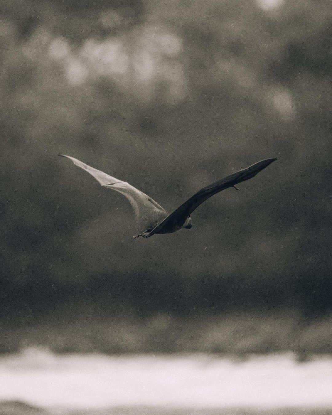 ティマティさんのインスタグラム写真 - (ティマティInstagram)「Последние теплые дни в Москве 🦇」9月29日 14時45分 - timatiofficial