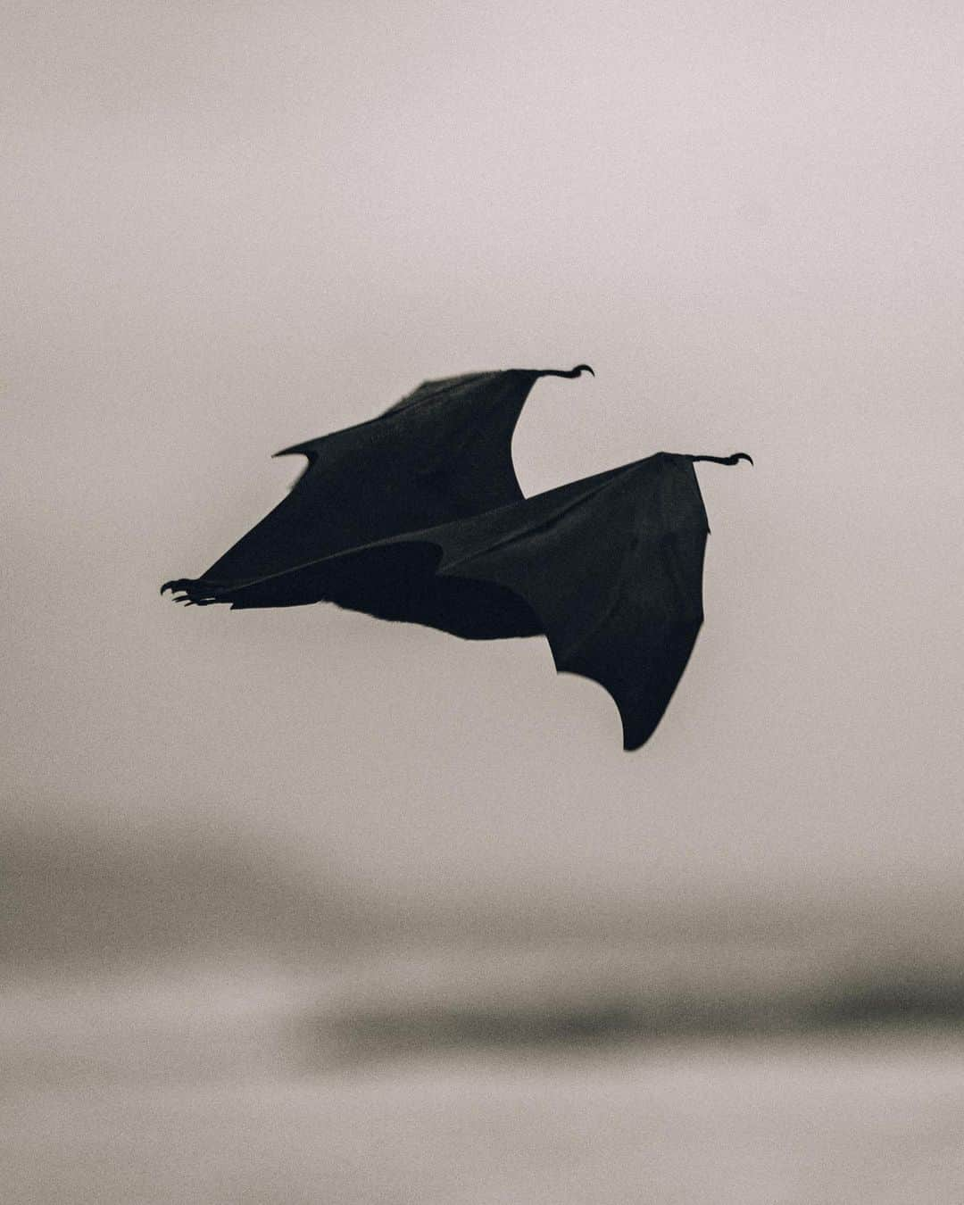 ティマティさんのインスタグラム写真 - (ティマティInstagram)「Последние теплые дни в Москве 🦇」9月29日 14時45分 - timatiofficial