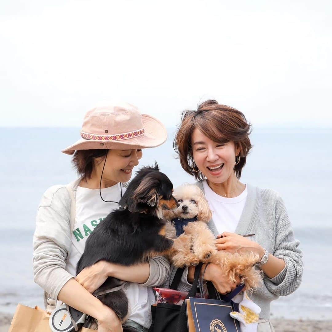 長谷川朋美さんのインスタグラム写真 - (長谷川朋美Instagram)「次回のわんわんクリーン隊は10月11日11時〜開催だよー🐶🌈  葉山の森戸海岸をワンコを連れて ビーチクリーン定例イベント✨  今回はビーチクリーンの後に 以前、保護犬譲渡会/エシカル マーケットを開催した @sharevillage_hayama を貸切で  ナナのBDも兼ねたランチパーティー🎉 も行いますよ🥰  （あとマロンの49日が10月8日なので マロンを偲ぶ会も一緒に🥹  ・ どなたさまもお気軽にご参加ください♡  犬なしでも、お一人でも、 お友達やお子様・ご家族連れでもOKですよ🌈  ・  【日時】 10月11日（水曜日） 11時集合  待ち合わせ場所: 森戸海岸近くのエスメラルダ前   ※11時から出発するので遅れた場合は 森戸海岸をビーチクリーンしている 私たちを見つけて声をかけてください。   ※雨天の場合はビーチクリーンは無し ランチ会のみ開催となります。 ビーチクリーン開催の有無は 前日にお知らせします。    11:00〜12:00 ビーチクリーン   12:30〜14:00 ランチ会 シェアビレッジ葉山（貸切）  ・ 【参加費】 ランチパーティー5,500円 （ランチ＆ドリンク＆撮影会付き）   ※ランチ会では一眼で撮影をし 　後日データをお渡しします♡   ビーチクリーンのみ 無料  ・ 【ランチパーティー定員】 15名様  ・ 【参加条件】 一緒にビーチクリーンをしてくださる方   ビーチクリーンの持ち物   ・ゴミを衛生的に拾える道具 （軍手やスティックなど）   ・使い古しなどのゴミ袋など ゴミを回収できるもの  ・ 【お申し込み】 プロフィールリンクよりどうぞ♡   皆様のご参加をお待ちしております🥰  ※画像は、前回のビーチクリーンの様子と 最後の2枚は今回貸切にするシェアビレッジで 保護譲渡会&エシカルマーケットを 開催したときのもの✨  #dogs #doglover #seniordog #seniordogslife #シニア犬 #シニア犬ライフ #老犬 #保護犬 #繁殖犬 #ビーチクリーン #hayama #葉山 #beachlife #海辺の暮らし #わんこライフ #health #ヘルシードッグ #いぬすたぐらむ #わんこ #愛されワンコ #キャバリア #パピチワ #動物福祉 #アニマルウェルフェア #わんわんクリーン隊 #介護犬」9月29日 7時31分 - hasegawa.elena.tomomi