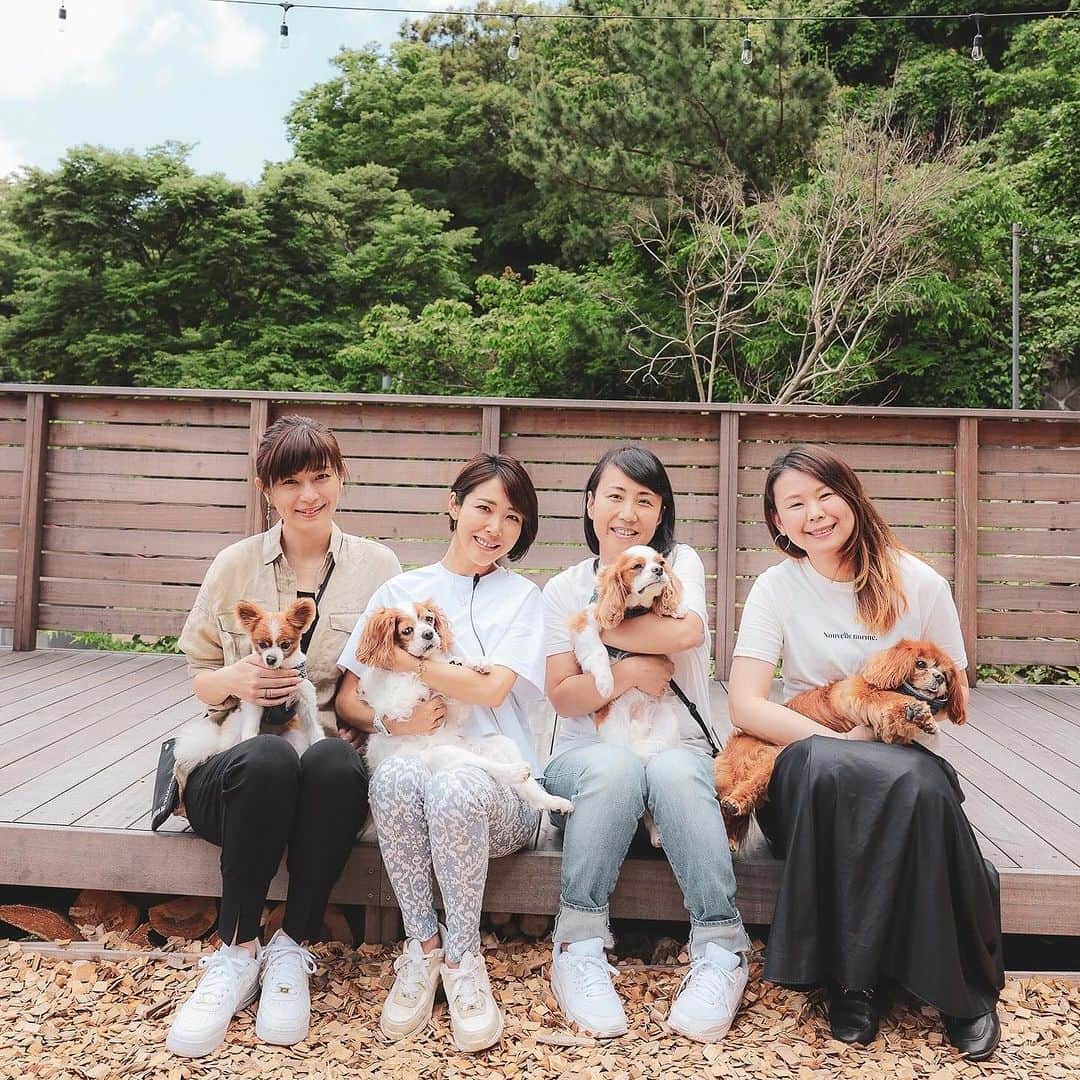 長谷川朋美さんのインスタグラム写真 - (長谷川朋美Instagram)「次回のわんわんクリーン隊は10月11日11時〜開催だよー🐶🌈  葉山の森戸海岸をワンコを連れて ビーチクリーン定例イベント✨  今回はビーチクリーンの後に 以前、保護犬譲渡会/エシカル マーケットを開催した @sharevillage_hayama を貸切で  ナナのBDも兼ねたランチパーティー🎉 も行いますよ🥰  （あとマロンの49日が10月8日なので マロンを偲ぶ会も一緒に🥹  ・ どなたさまもお気軽にご参加ください♡  犬なしでも、お一人でも、 お友達やお子様・ご家族連れでもOKですよ🌈  ・  【日時】 10月11日（水曜日） 11時集合  待ち合わせ場所: 森戸海岸近くのエスメラルダ前   ※11時から出発するので遅れた場合は 森戸海岸をビーチクリーンしている 私たちを見つけて声をかけてください。   ※雨天の場合はビーチクリーンは無し ランチ会のみ開催となります。 ビーチクリーン開催の有無は 前日にお知らせします。    11:00〜12:00 ビーチクリーン   12:30〜14:00 ランチ会 シェアビレッジ葉山（貸切）  ・ 【参加費】 ランチパーティー5,500円 （ランチ＆ドリンク＆撮影会付き）   ※ランチ会では一眼で撮影をし 　後日データをお渡しします♡   ビーチクリーンのみ 無料  ・ 【ランチパーティー定員】 15名様  ・ 【参加条件】 一緒にビーチクリーンをしてくださる方   ビーチクリーンの持ち物   ・ゴミを衛生的に拾える道具 （軍手やスティックなど）   ・使い古しなどのゴミ袋など ゴミを回収できるもの  ・ 【お申し込み】 プロフィールリンクよりどうぞ♡   皆様のご参加をお待ちしております🥰  ※画像は、前回のビーチクリーンの様子と 最後の2枚は今回貸切にするシェアビレッジで 保護譲渡会&エシカルマーケットを 開催したときのもの✨  #dogs #doglover #seniordog #seniordogslife #シニア犬 #シニア犬ライフ #老犬 #保護犬 #繁殖犬 #ビーチクリーン #hayama #葉山 #beachlife #海辺の暮らし #わんこライフ #health #ヘルシードッグ #いぬすたぐらむ #わんこ #愛されワンコ #キャバリア #パピチワ #動物福祉 #アニマルウェルフェア #わんわんクリーン隊 #介護犬」9月29日 7時31分 - hasegawa.elena.tomomi