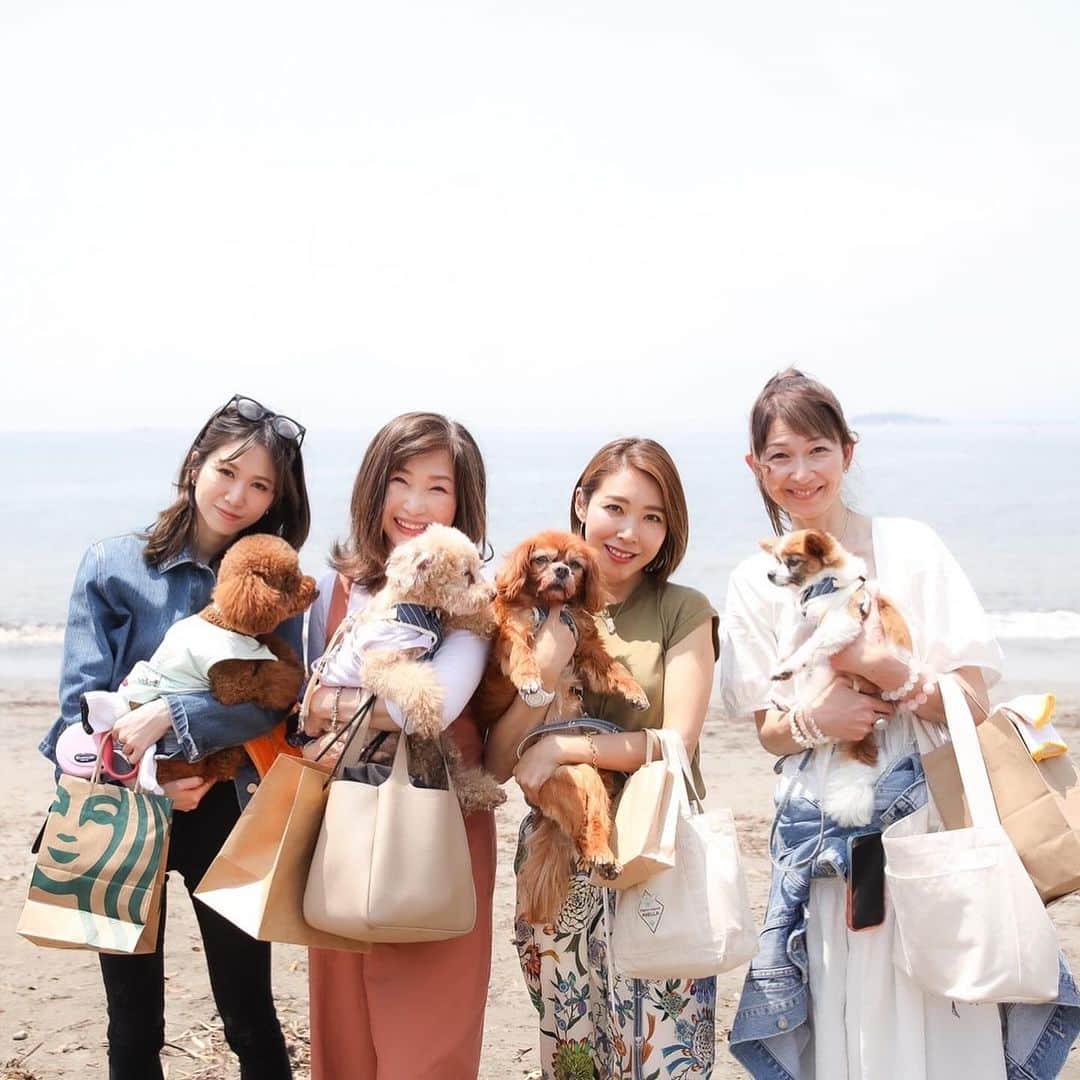 長谷川朋美さんのインスタグラム写真 - (長谷川朋美Instagram)「次回のわんわんクリーン隊は10月11日11時〜開催だよー🐶🌈  葉山の森戸海岸をワンコを連れて ビーチクリーン定例イベント✨  今回はビーチクリーンの後に 以前、保護犬譲渡会/エシカル マーケットを開催した @sharevillage_hayama を貸切で  ナナのBDも兼ねたランチパーティー🎉 も行いますよ🥰  （あとマロンの49日が10月8日なので マロンを偲ぶ会も一緒に🥹  ・ どなたさまもお気軽にご参加ください♡  犬なしでも、お一人でも、 お友達やお子様・ご家族連れでもOKですよ🌈  ・  【日時】 10月11日（水曜日） 11時集合  待ち合わせ場所: 森戸海岸近くのエスメラルダ前   ※11時から出発するので遅れた場合は 森戸海岸をビーチクリーンしている 私たちを見つけて声をかけてください。   ※雨天の場合はビーチクリーンは無し ランチ会のみ開催となります。 ビーチクリーン開催の有無は 前日にお知らせします。    11:00〜12:00 ビーチクリーン   12:30〜14:00 ランチ会 シェアビレッジ葉山（貸切）  ・ 【参加費】 ランチパーティー5,500円 （ランチ＆ドリンク＆撮影会付き）   ※ランチ会では一眼で撮影をし 　後日データをお渡しします♡   ビーチクリーンのみ 無料  ・ 【ランチパーティー定員】 15名様  ・ 【参加条件】 一緒にビーチクリーンをしてくださる方   ビーチクリーンの持ち物   ・ゴミを衛生的に拾える道具 （軍手やスティックなど）   ・使い古しなどのゴミ袋など ゴミを回収できるもの  ・ 【お申し込み】 プロフィールリンクよりどうぞ♡   皆様のご参加をお待ちしております🥰  ※画像は、前回のビーチクリーンの様子と 最後の2枚は今回貸切にするシェアビレッジで 保護譲渡会&エシカルマーケットを 開催したときのもの✨  #dogs #doglover #seniordog #seniordogslife #シニア犬 #シニア犬ライフ #老犬 #保護犬 #繁殖犬 #ビーチクリーン #hayama #葉山 #beachlife #海辺の暮らし #わんこライフ #health #ヘルシードッグ #いぬすたぐらむ #わんこ #愛されワンコ #キャバリア #パピチワ #動物福祉 #アニマルウェルフェア #わんわんクリーン隊 #介護犬」9月29日 7時31分 - hasegawa.elena.tomomi
