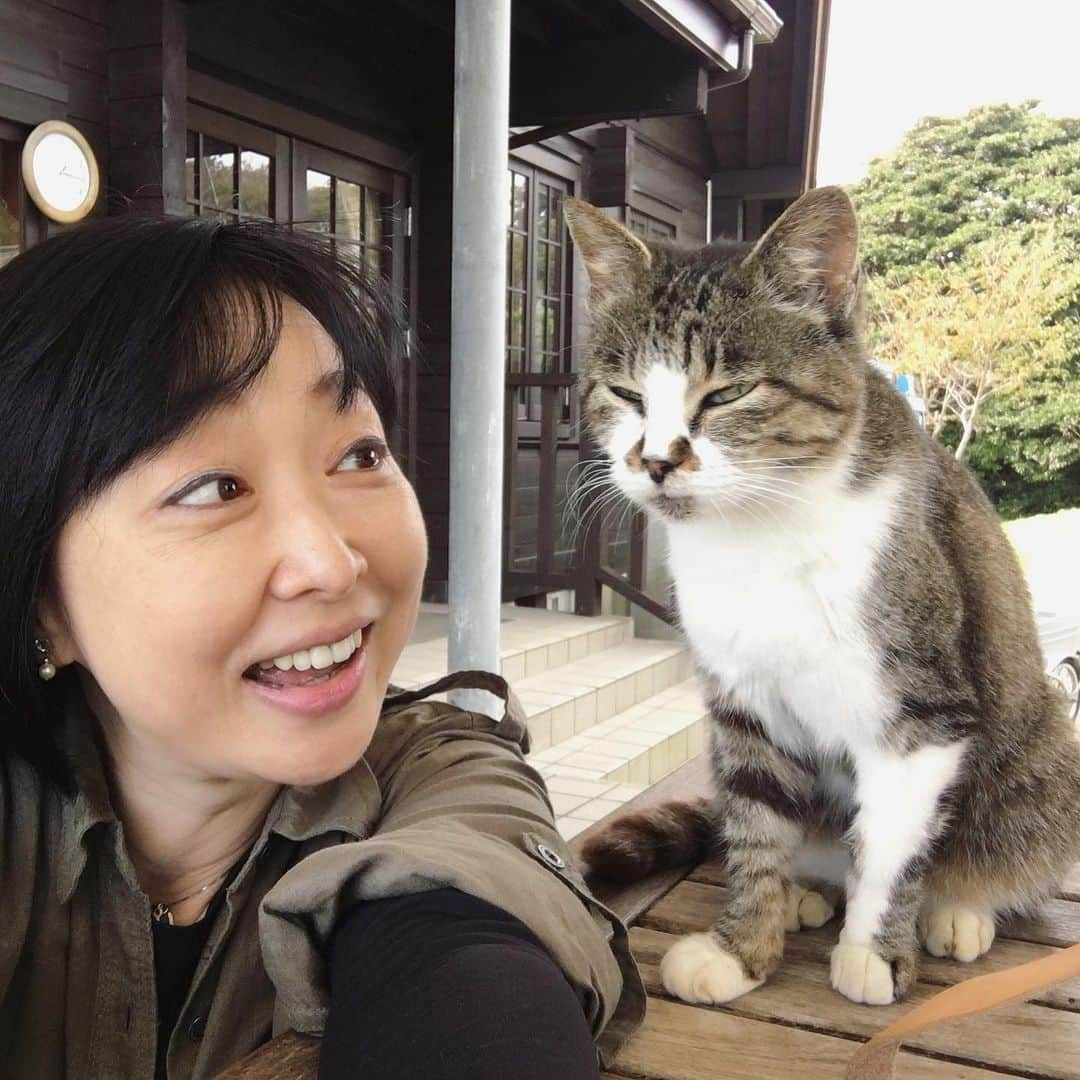 川上麻衣子さんのインスタグラム写真 - (川上麻衣子Instagram)「どうしても逢いたい猫に逢いに、田代島に向かっています。 2018年。番組のロケで初めて訪れた田代島で、脚を引きづりながらずーっと私の後を付いてきてくれた1匹の猫。自撮り棒で、写真を撮ろうと話しかけたらちゃんとポーズを取ってくれ、私の心を鷲掴みにした猫。その後ネット上に作った【にゃなかtown】nyanakatown.com のキャラクターにしたのもこの猫です。田代島のタッシーと名付けて様々なグッズも作りました。 ずっとずっと、想っていたタッシーを見つけたのは、【田代島】で検索した2023年の島の動画。明らかにあのタッシーが映っていました。以来心ここに在らず。逢いに行きたい、、という気持ちを抑えられず、本日、スケジュールの合間を縫って田代島に向かっています。 タッシーに会えるだろうか、、、。 会える様、どうか祈っていてくださいね！」9月29日 8時51分 - kawakami.maiko