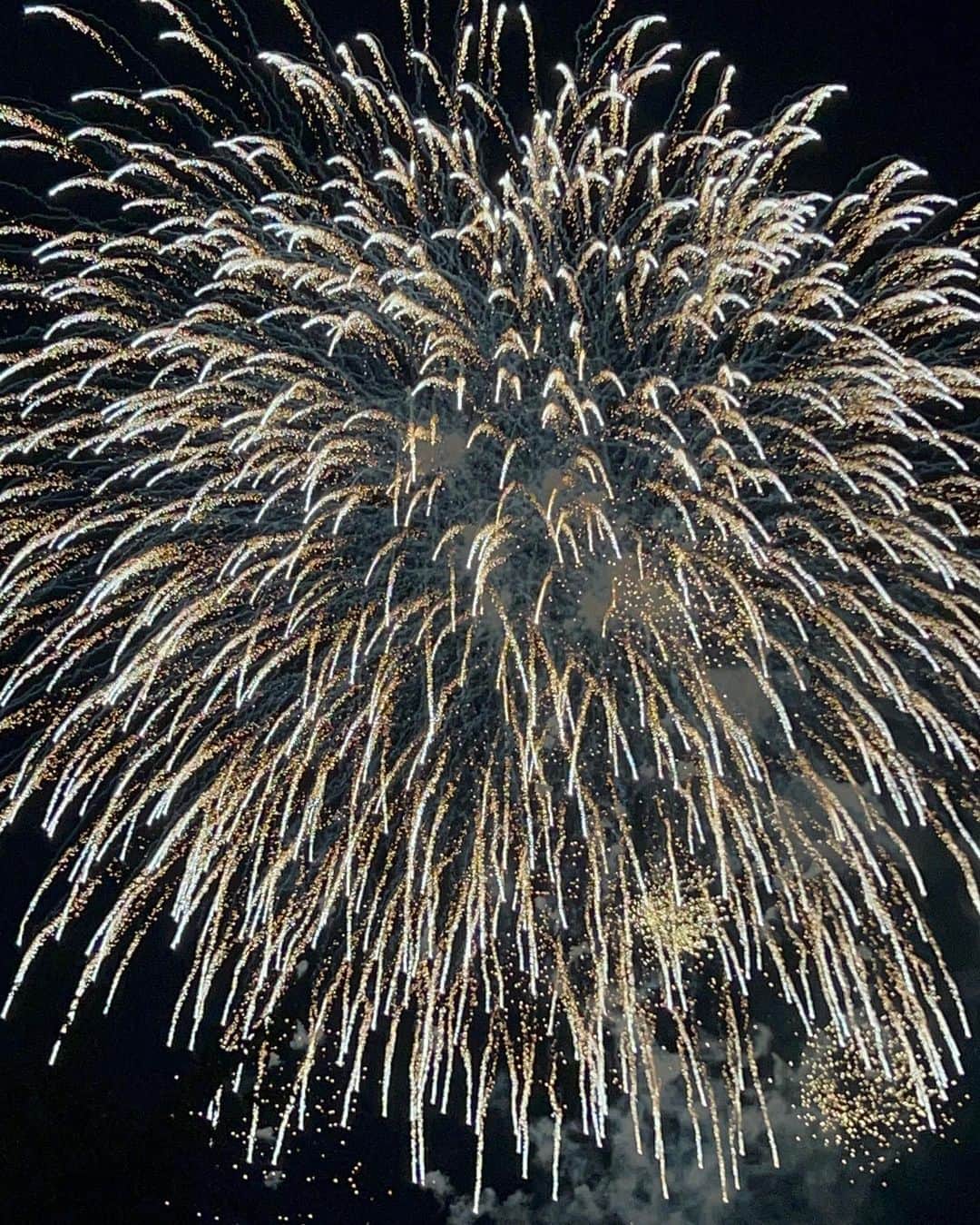 杉野希妃のインスタグラム：「今年はいたるところで花火を見れて大変満足🥸」