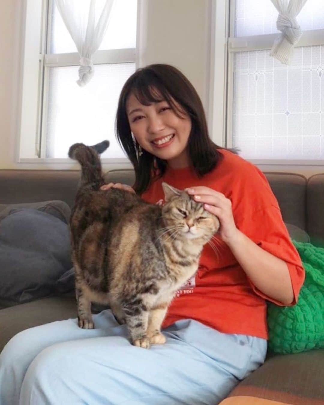佐々木晴花のインスタグラム：「・ ・ おっはる〜☀️ 今日は、#招き猫の日 🐈♡  アラほろのブレちゃん家のノバちゃんが可愛くていつもなかなか撮影始められないの🥺💭  ぽてぽてぽっちゃり〜😽 癒される〜💗 ・ ・ ・ #猫 #猫部 #猫写真 #猫スタグラム #猫好き  #にゃんこ #ぽっちゃり女子 #ぽっちゃり猫  #デブ猫 #でぶねこ 可愛い♡」