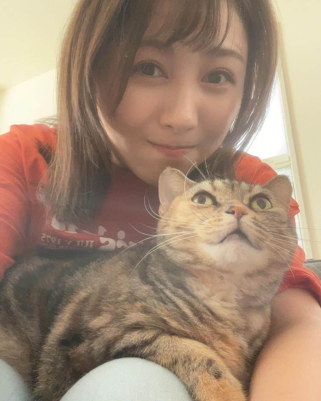 佐々木晴花さんのインスタグラム写真 - (佐々木晴花Instagram)「・ ・ おっはる〜☀️ 今日は、#招き猫の日 🐈♡  アラほろのブレちゃん家のノバちゃんが可愛くていつもなかなか撮影始められないの🥺💭  ぽてぽてぽっちゃり〜😽 癒される〜💗 ・ ・ ・ #猫 #猫部 #猫写真 #猫スタグラム #猫好き  #にゃんこ #ぽっちゃり女子 #ぽっちゃり猫  #デブ猫 #でぶねこ 可愛い♡」9月29日 9時12分 - haru2n.run