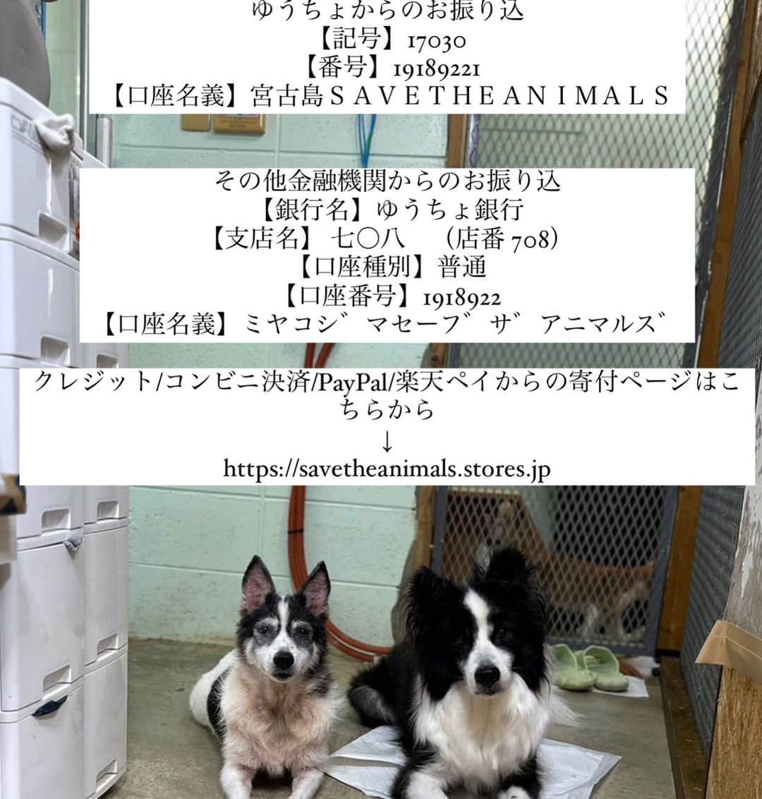 中原絵梨奈のインスタグラム：「生涯ケアの必要な子達を抱えております。  温かいご支援をお願いします🙇‍♀️」